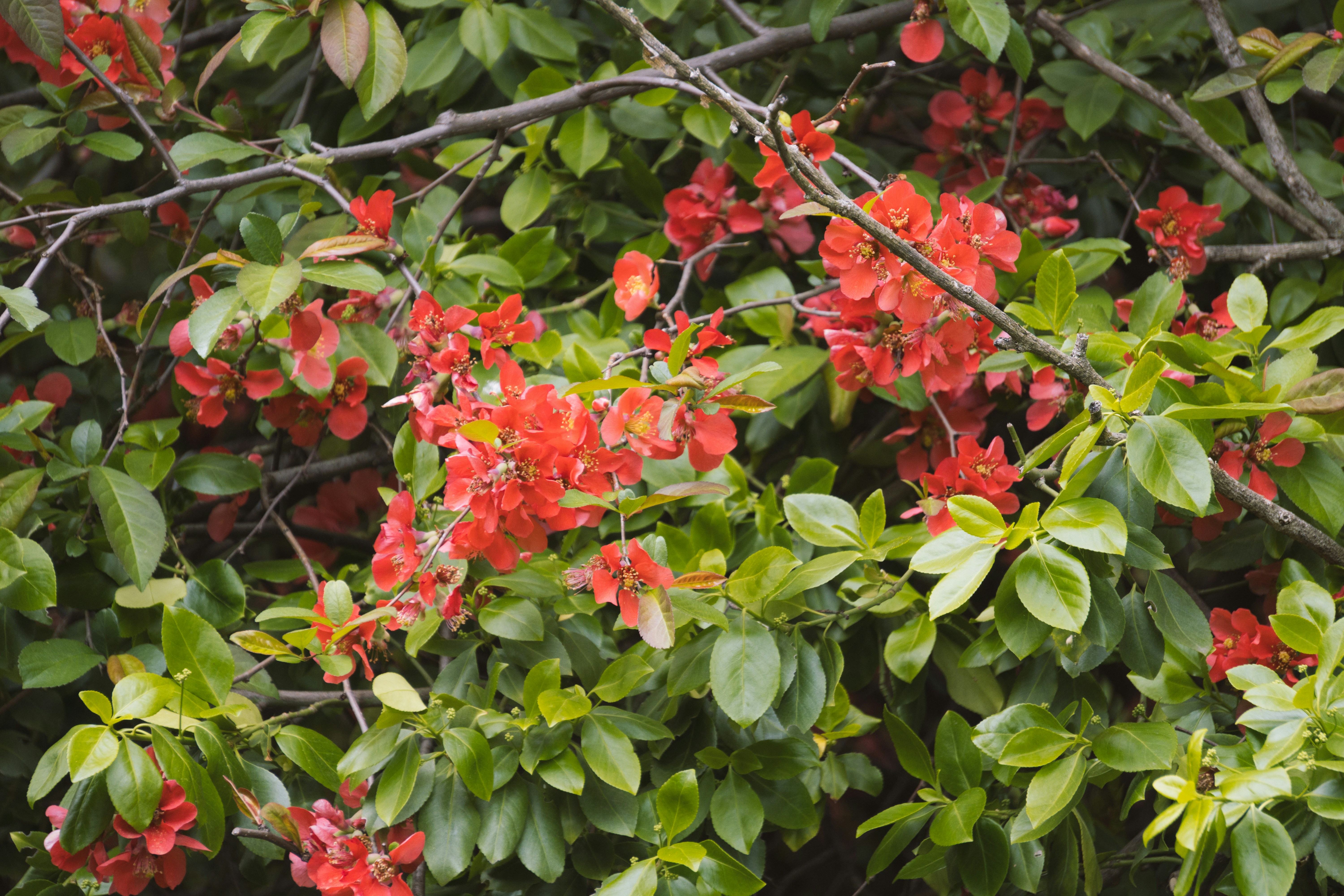 Photo by tellophotography