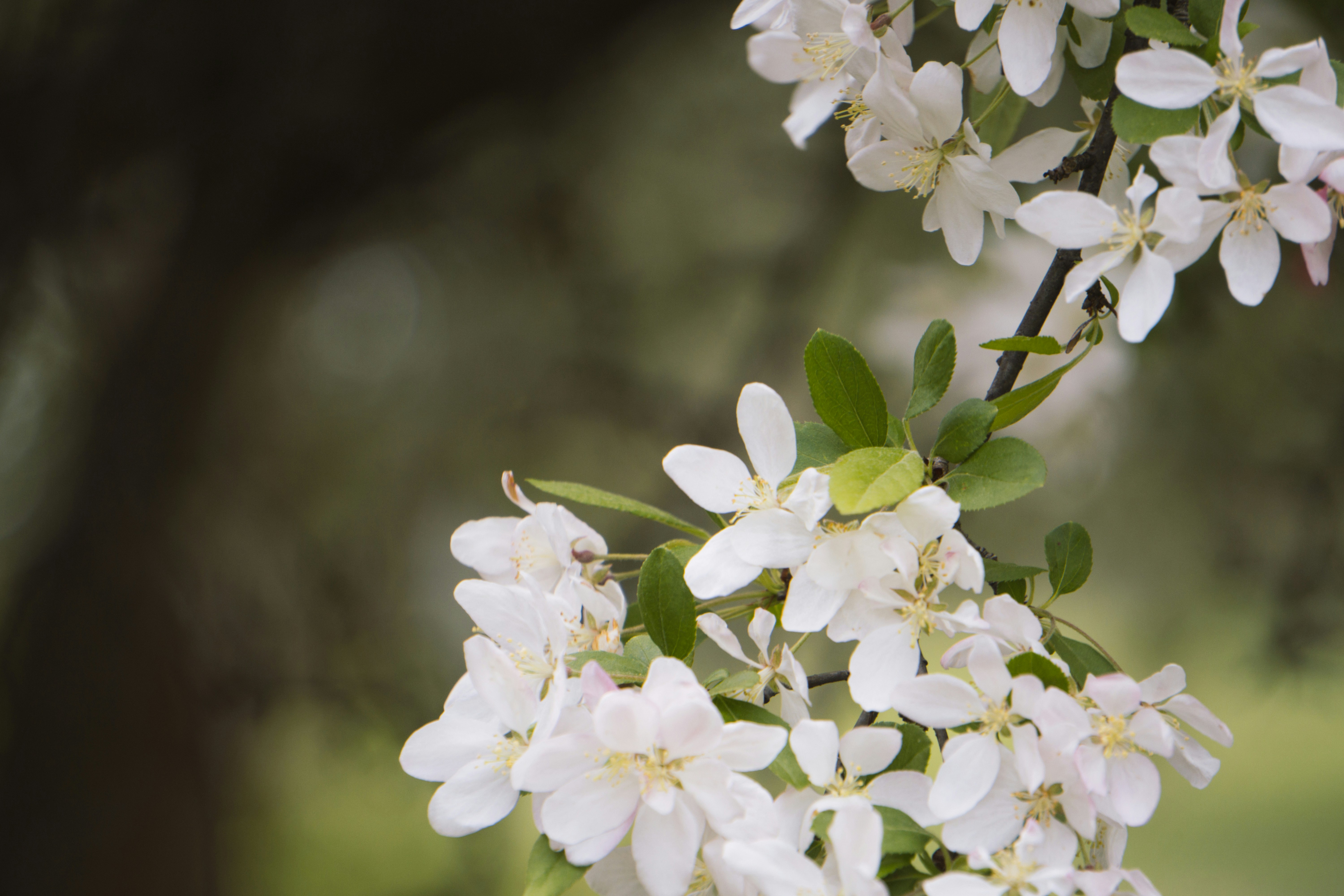 Photo by tellophotography