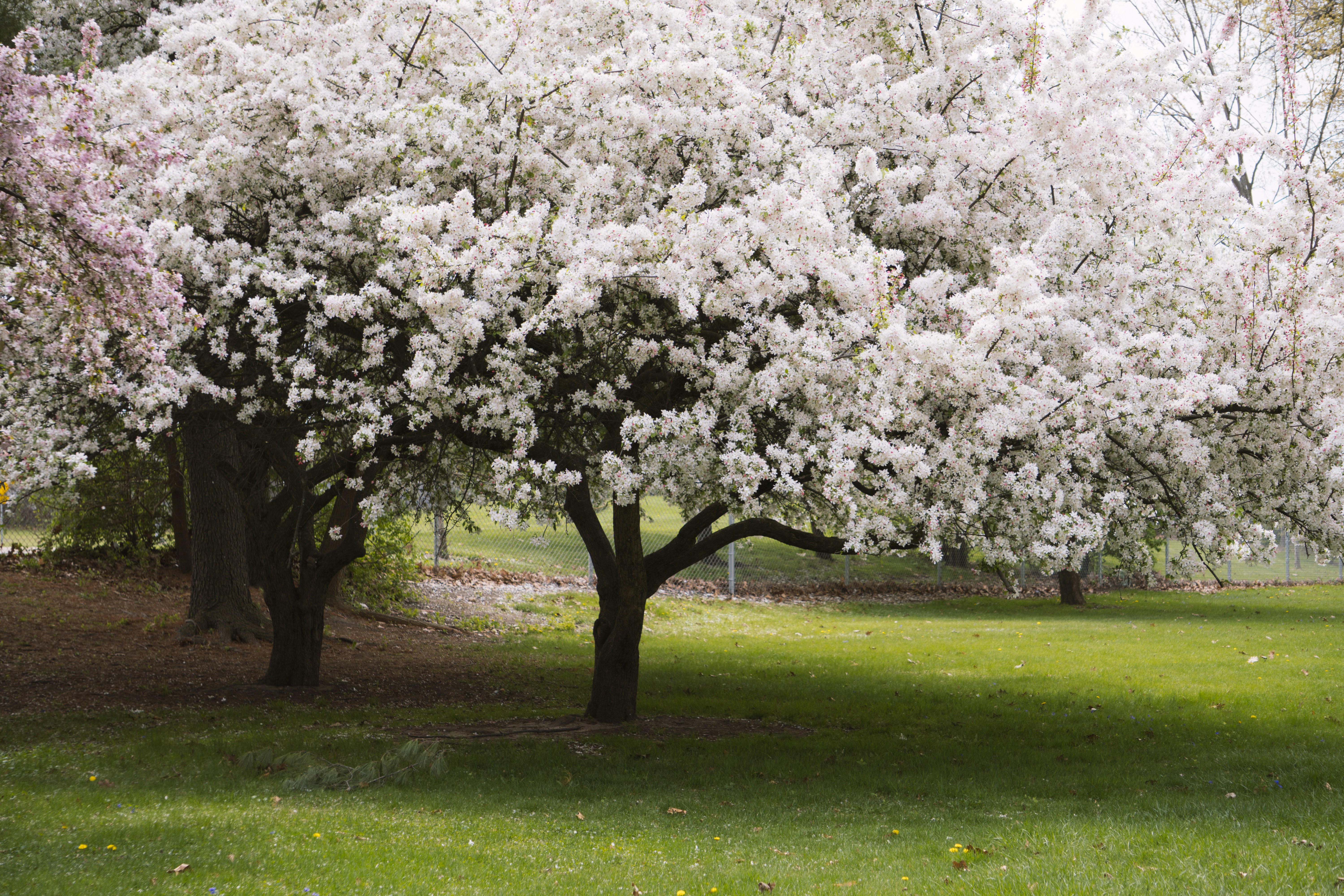 Photo by tellophotography