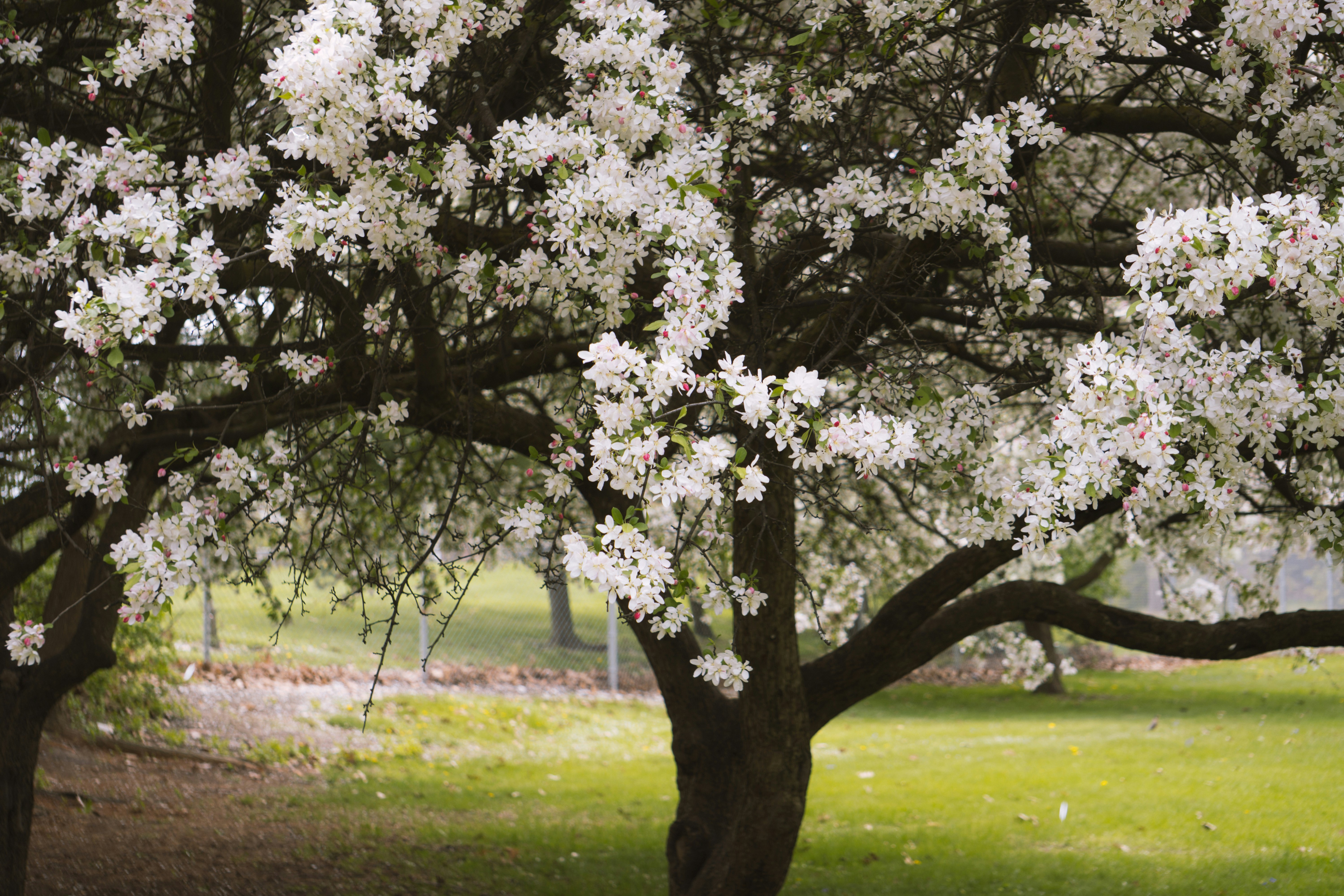 Photo by tellophotography