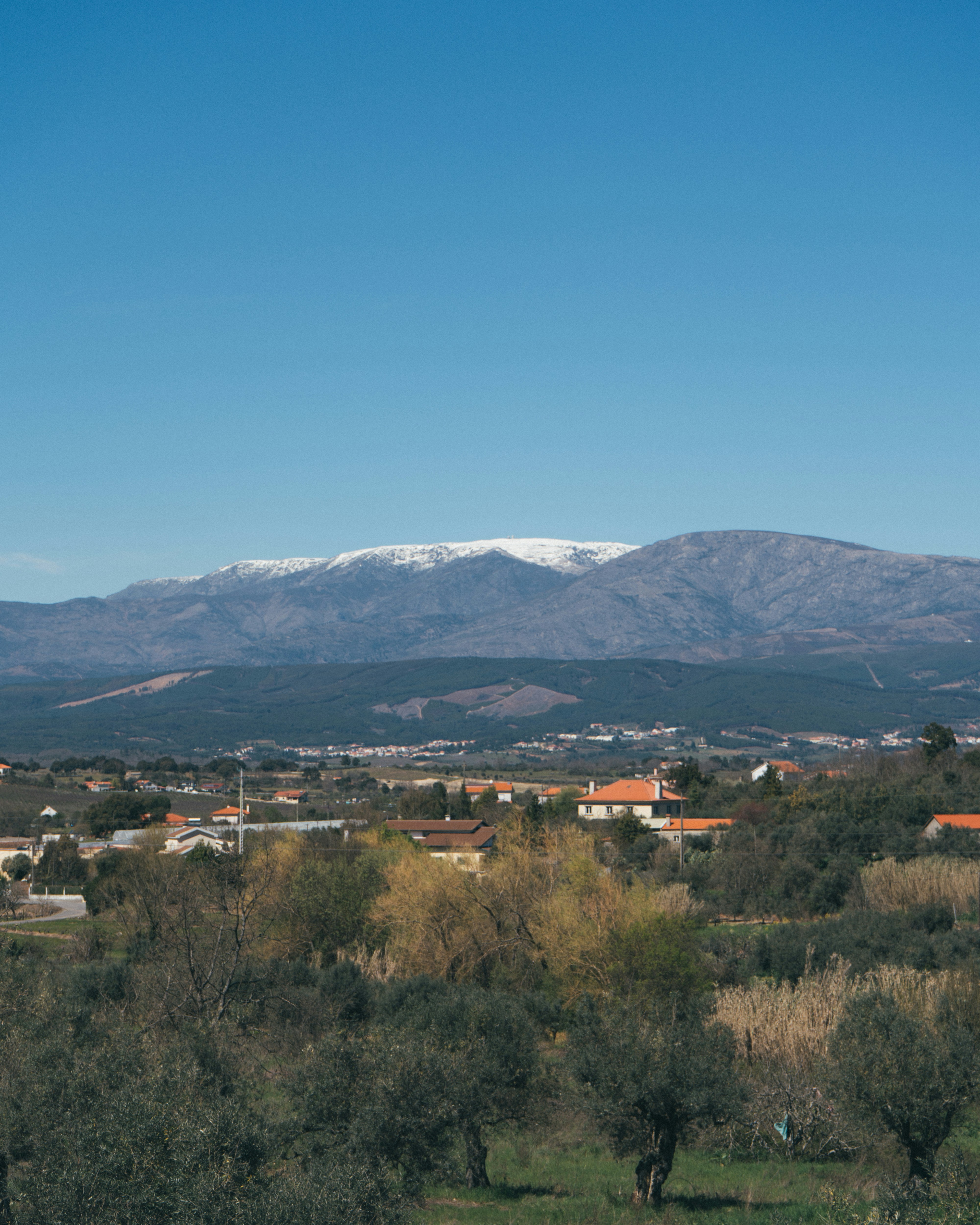 n8n en Molina de Segura