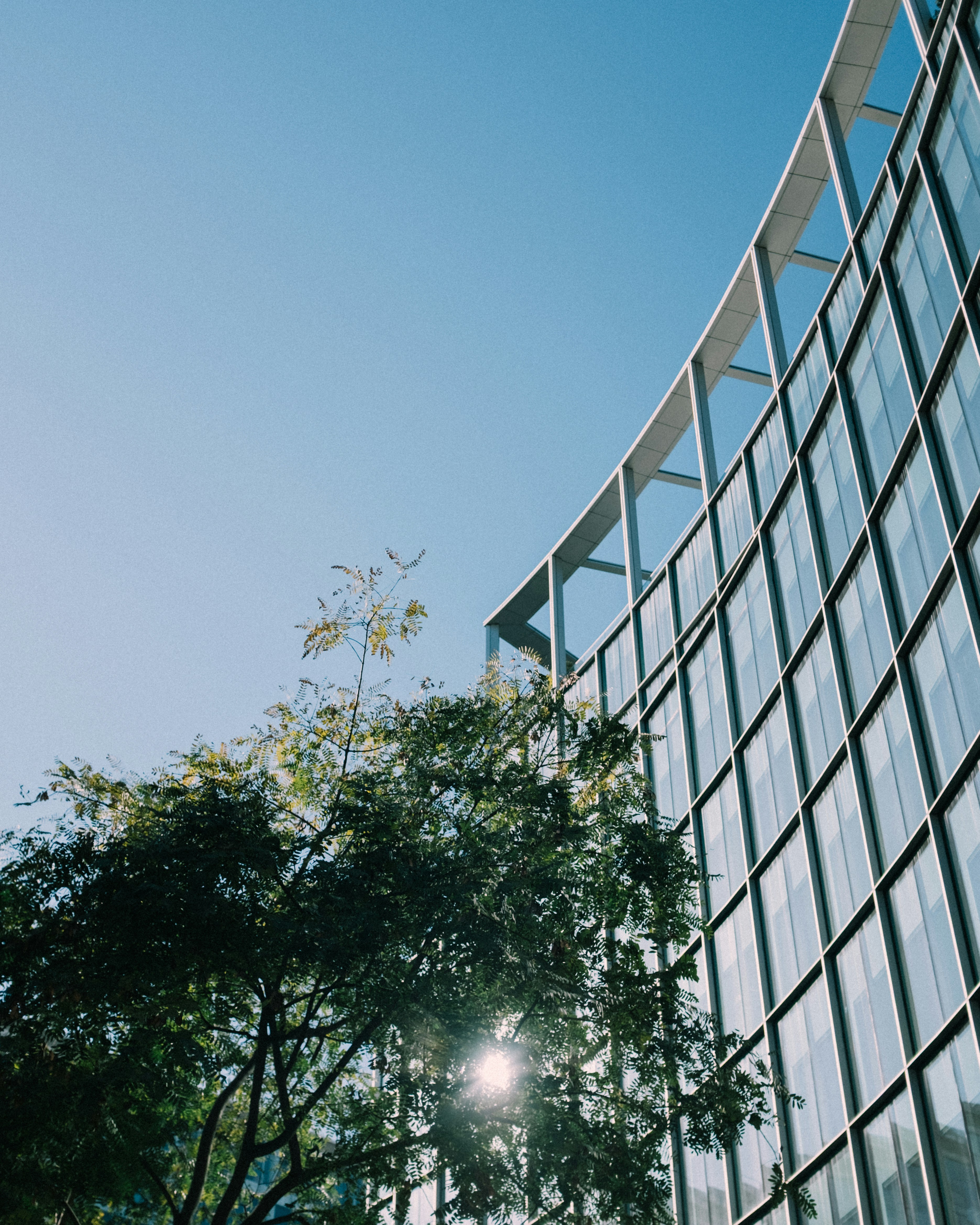 Photo by snapshot_journey