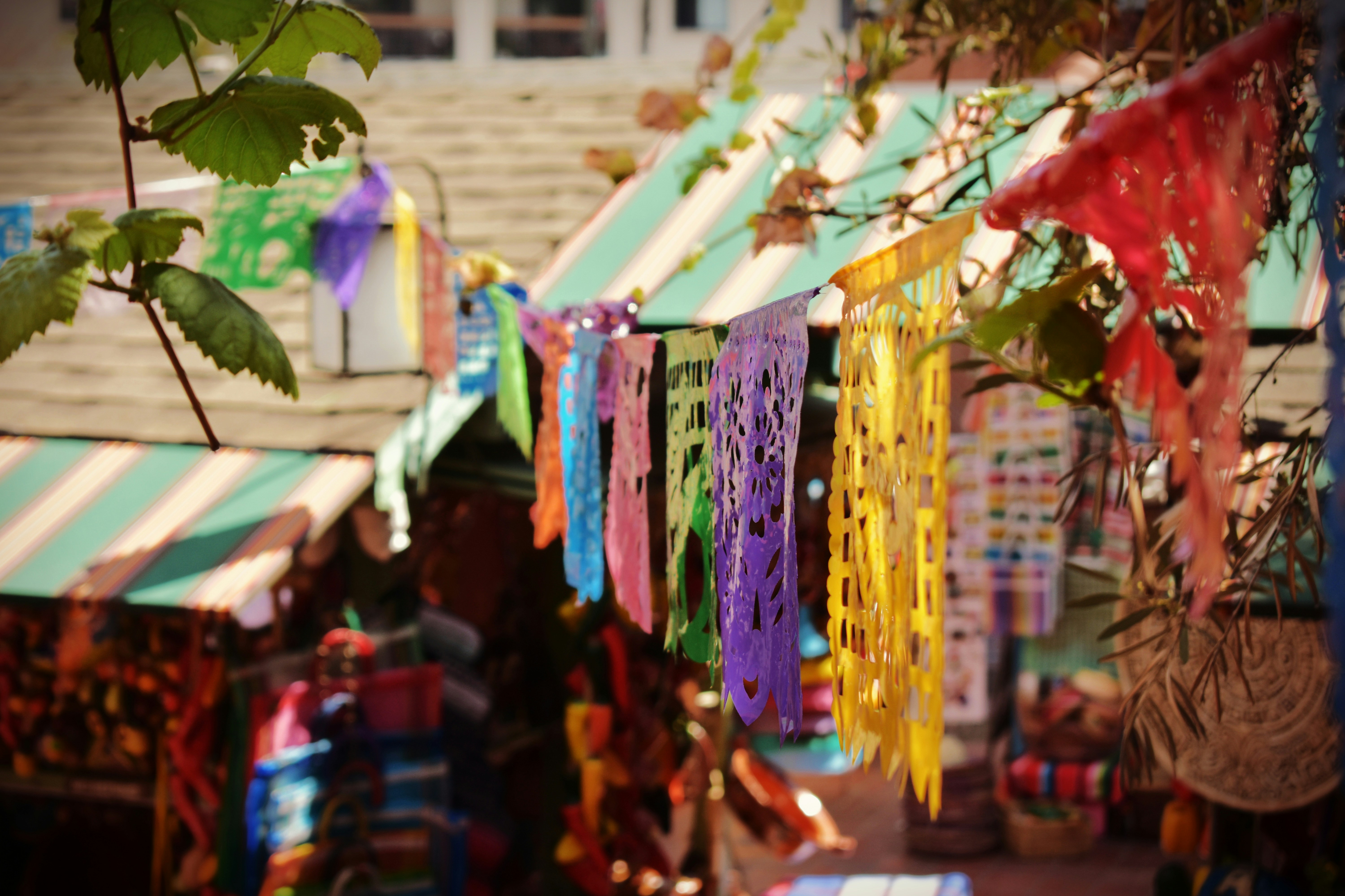 Photo by myshegotripped