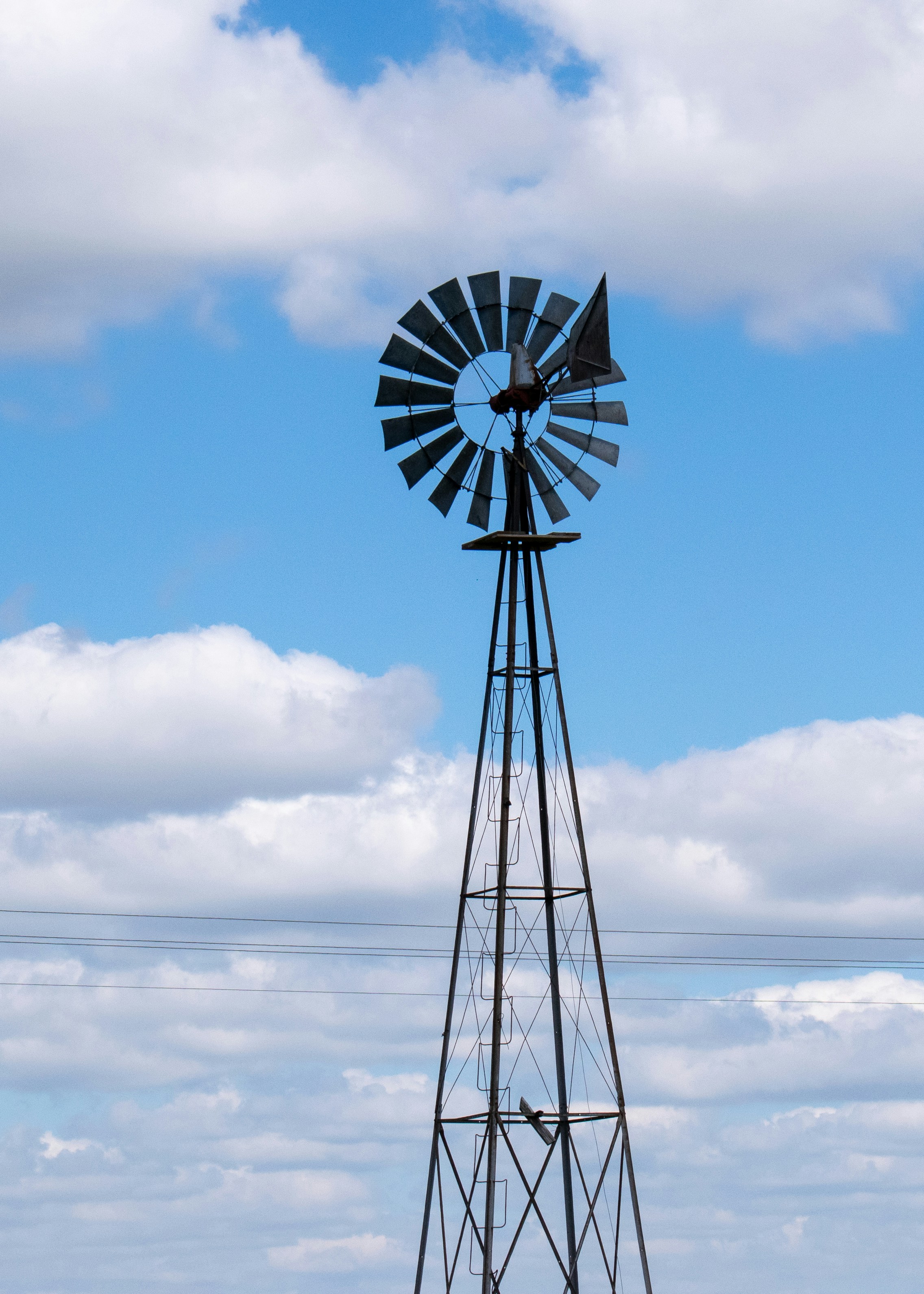 Photo by sparkledump