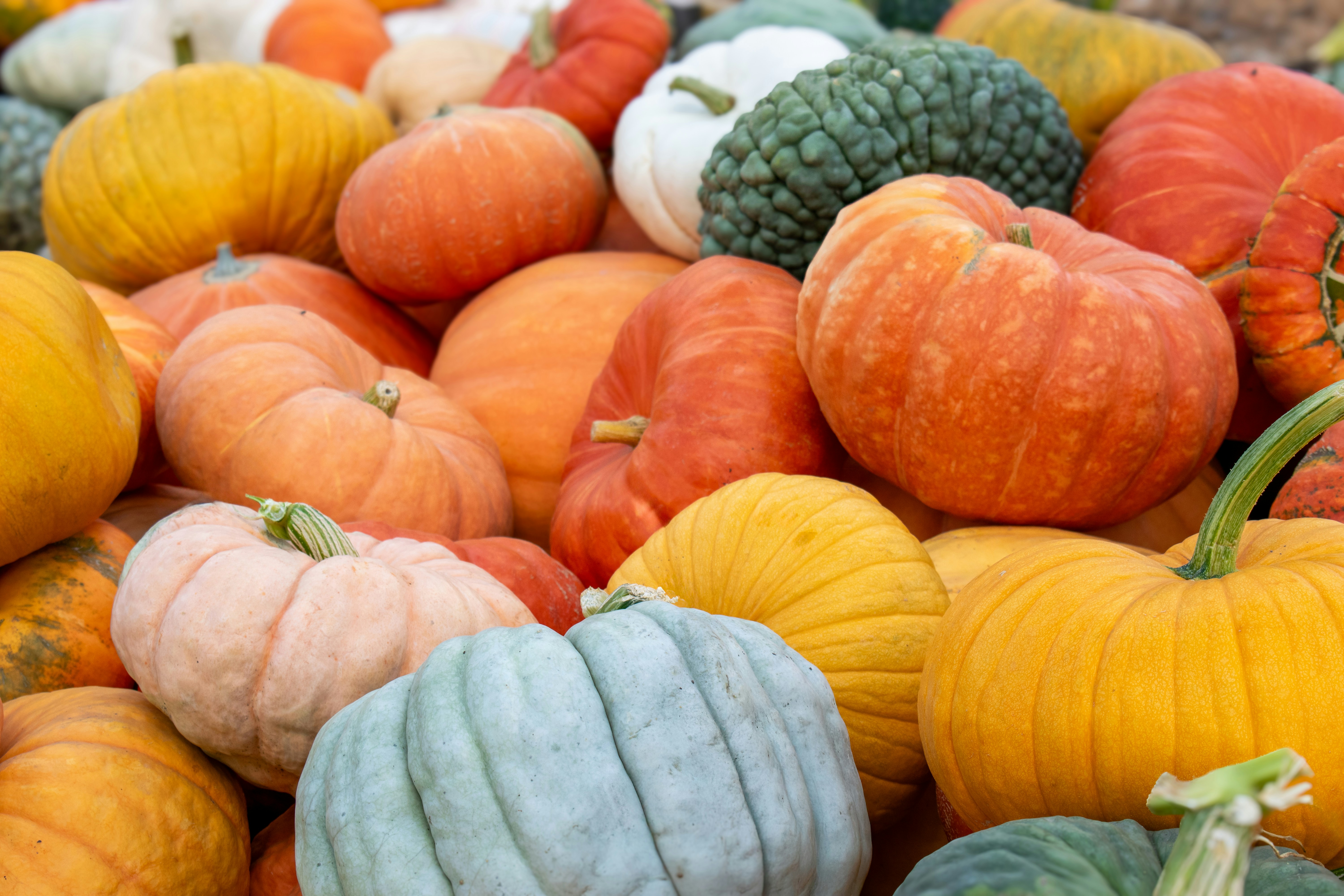 Photo by sparkledump