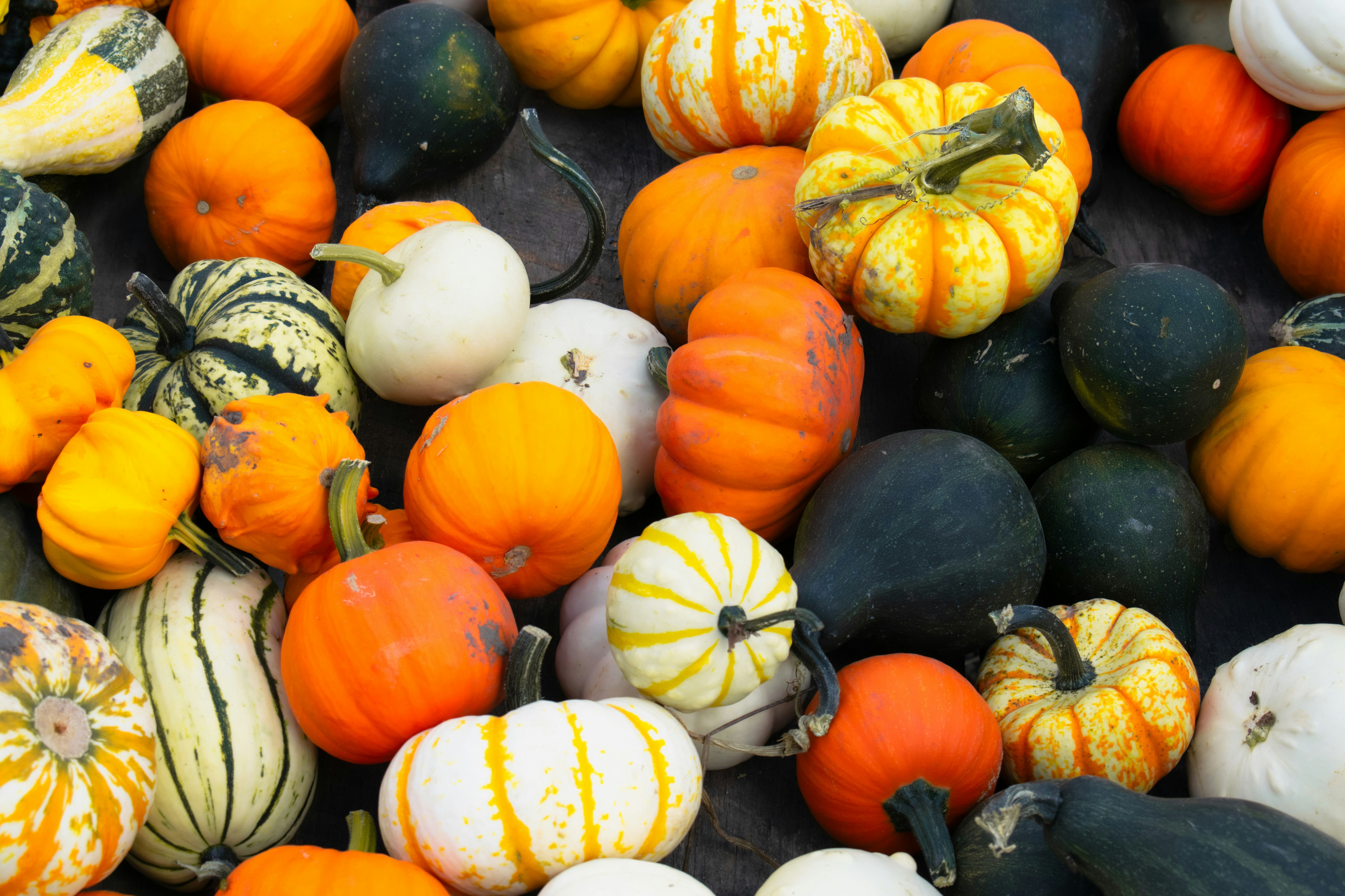 Photo by sparkledump