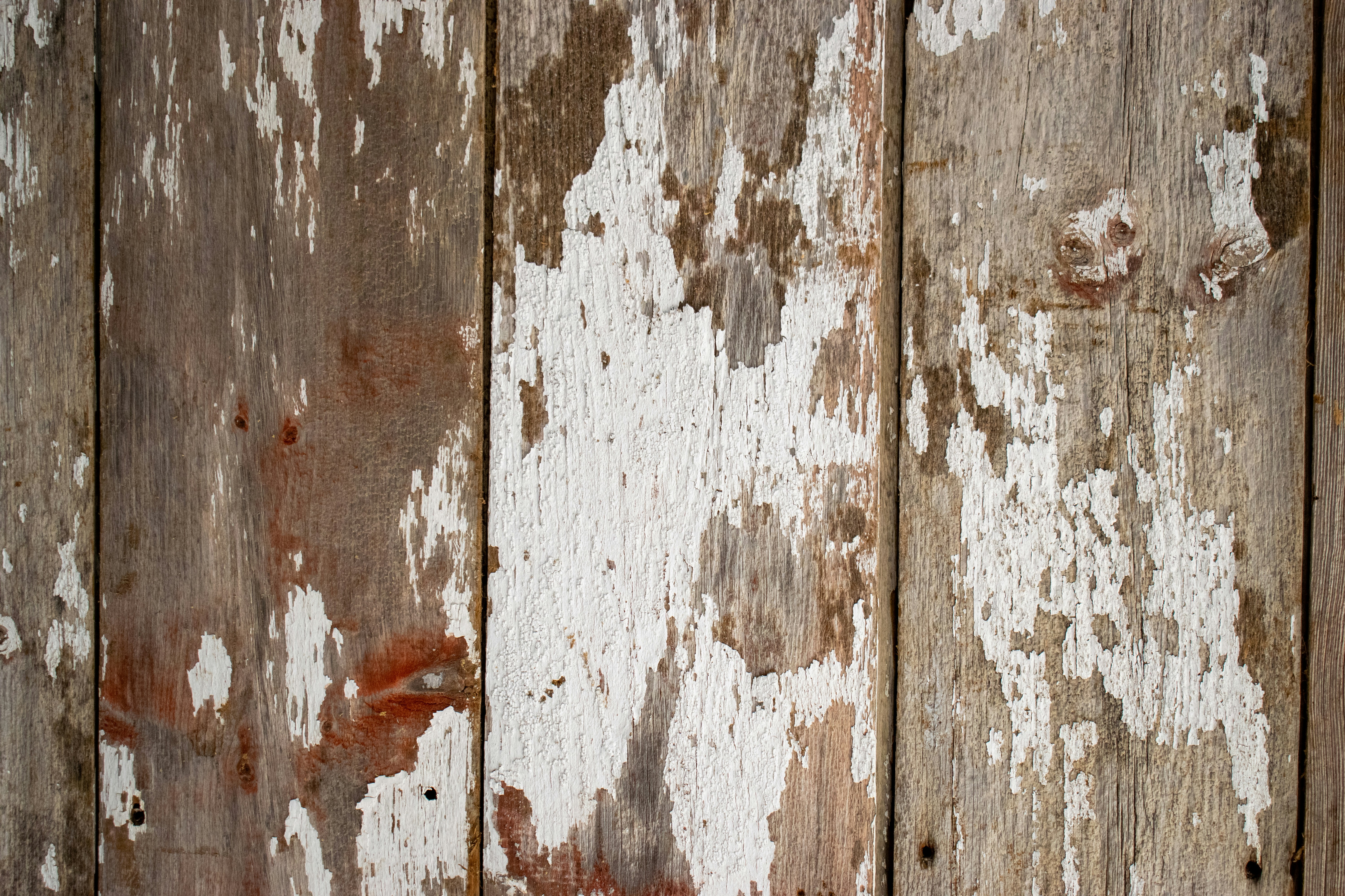 Photo by sparkledump