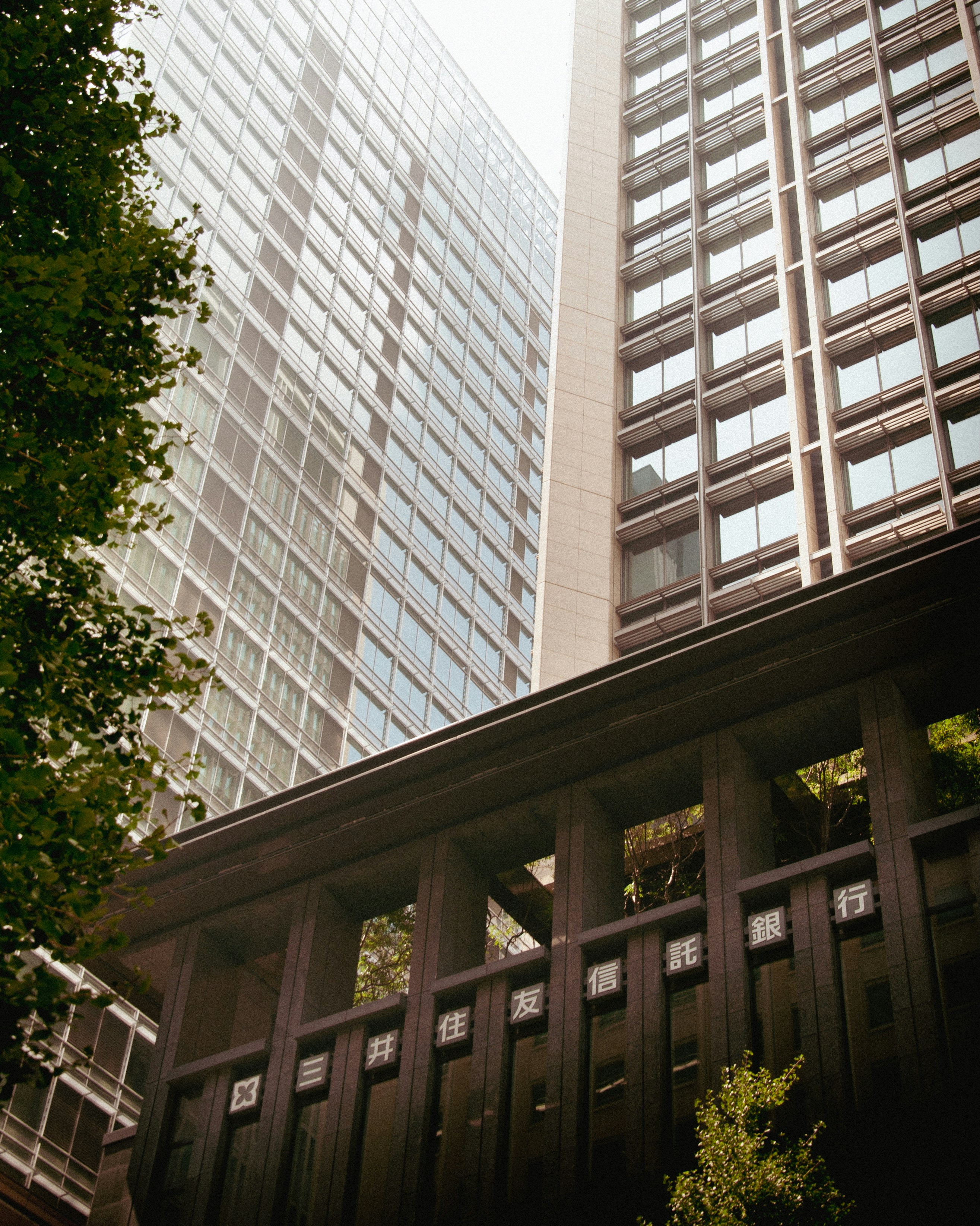 Photo by niven_kadric