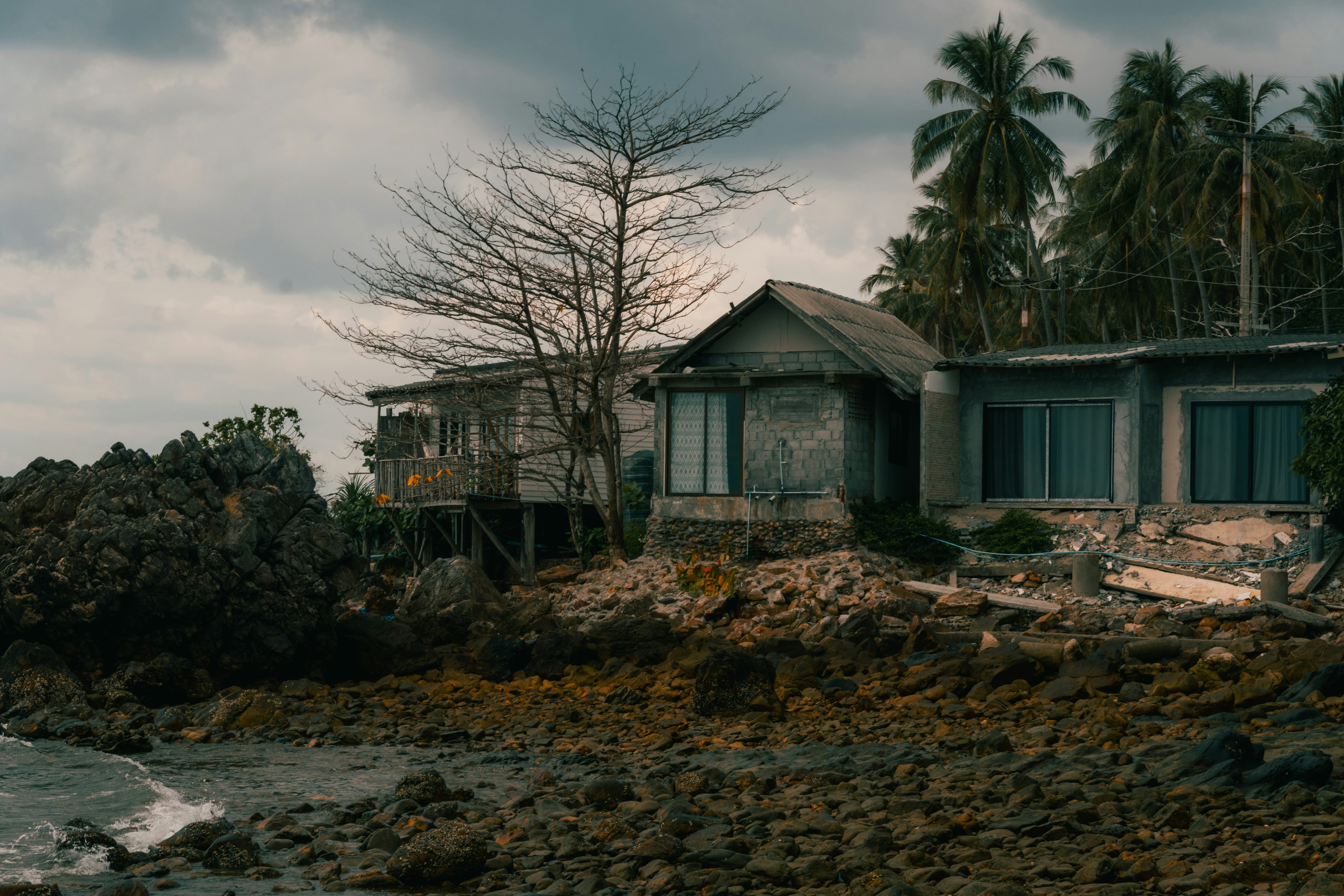 Photo by pauliusidea