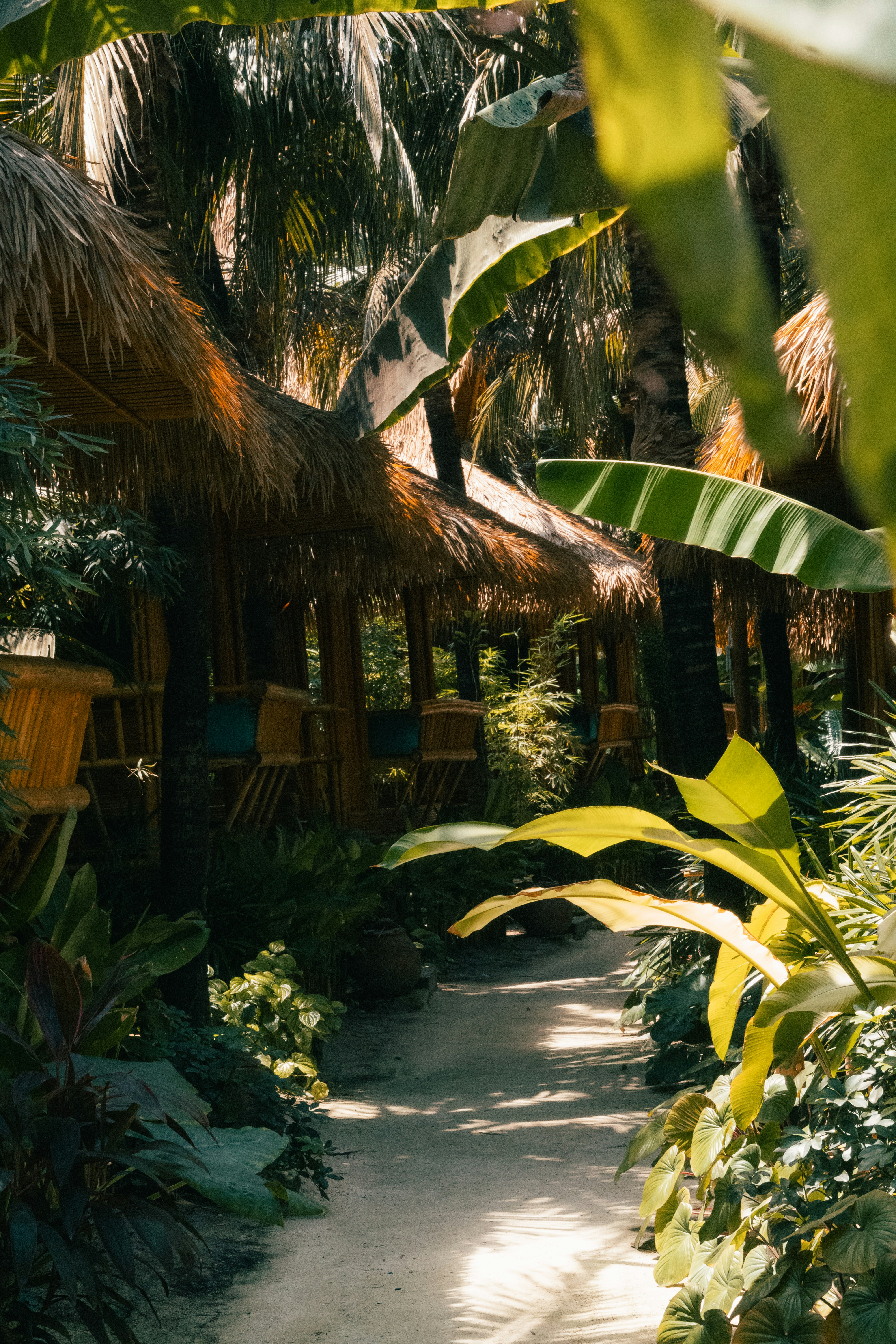 Photo by pauliusidea