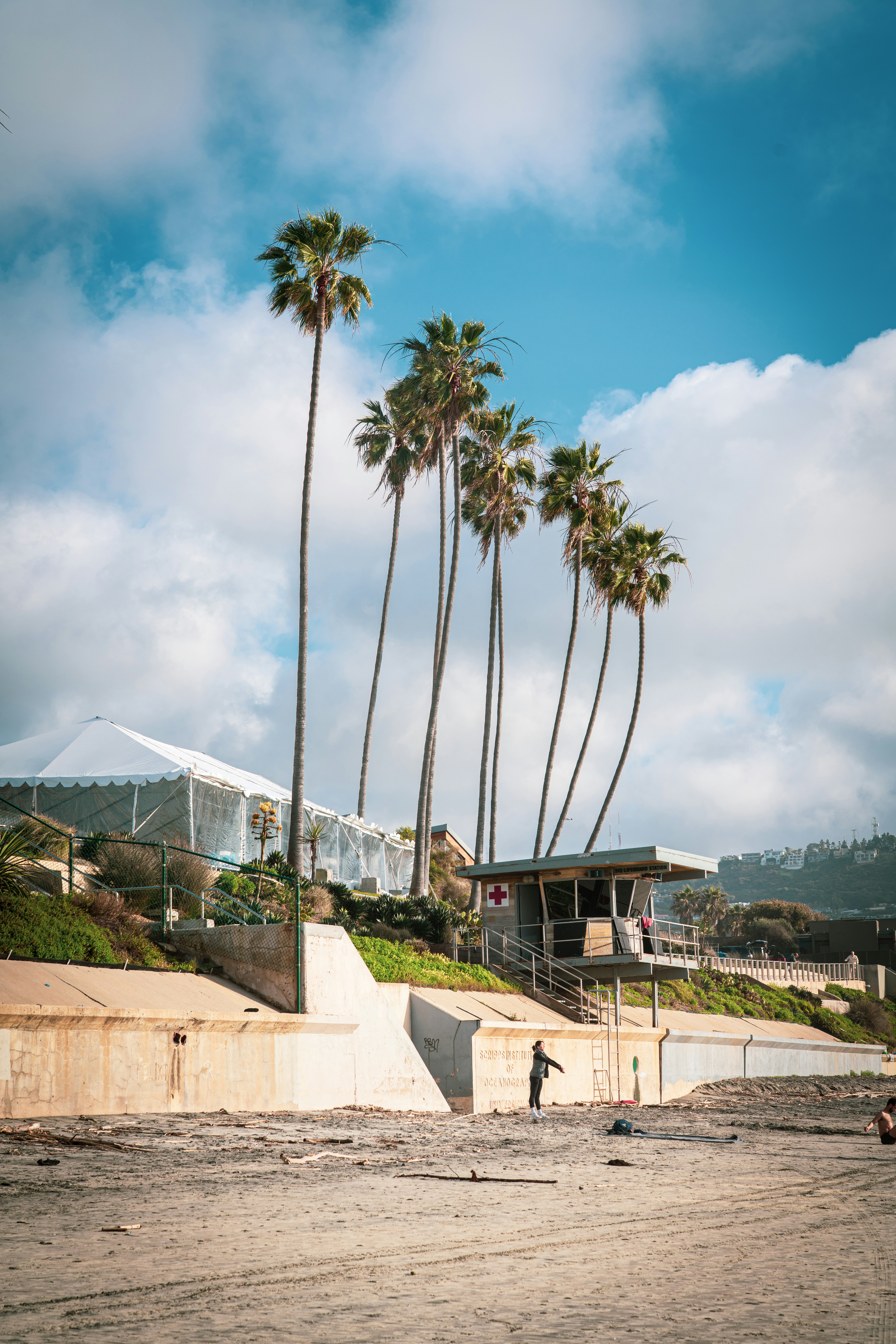 Palm trees and a lifeguard tower on a sandy beach.