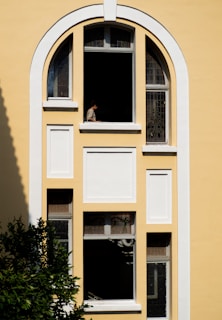 A person is looking out of an arched window.