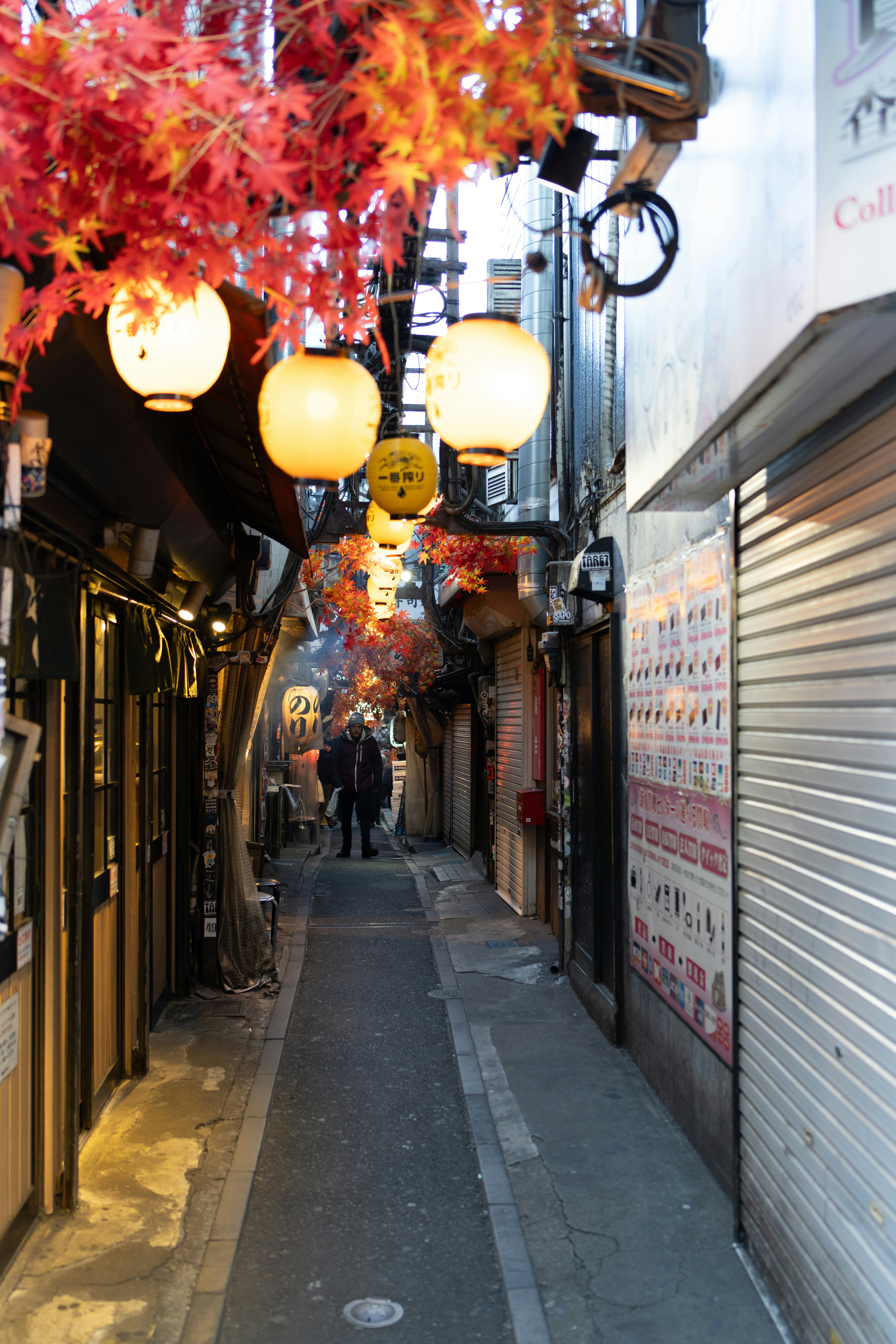 Photo by photos_by_ajay