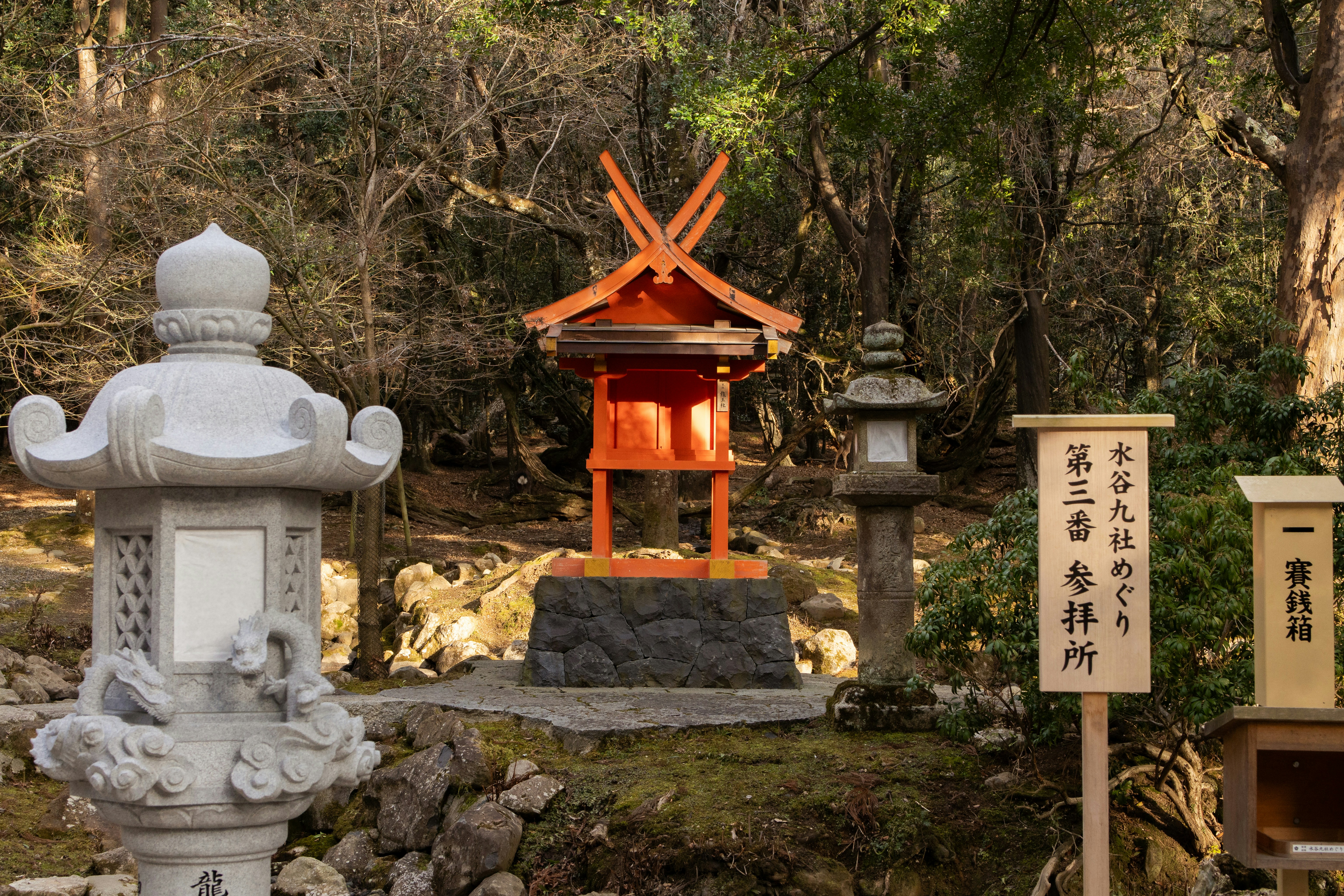 Japanese lanterns sit in a serene garden.
