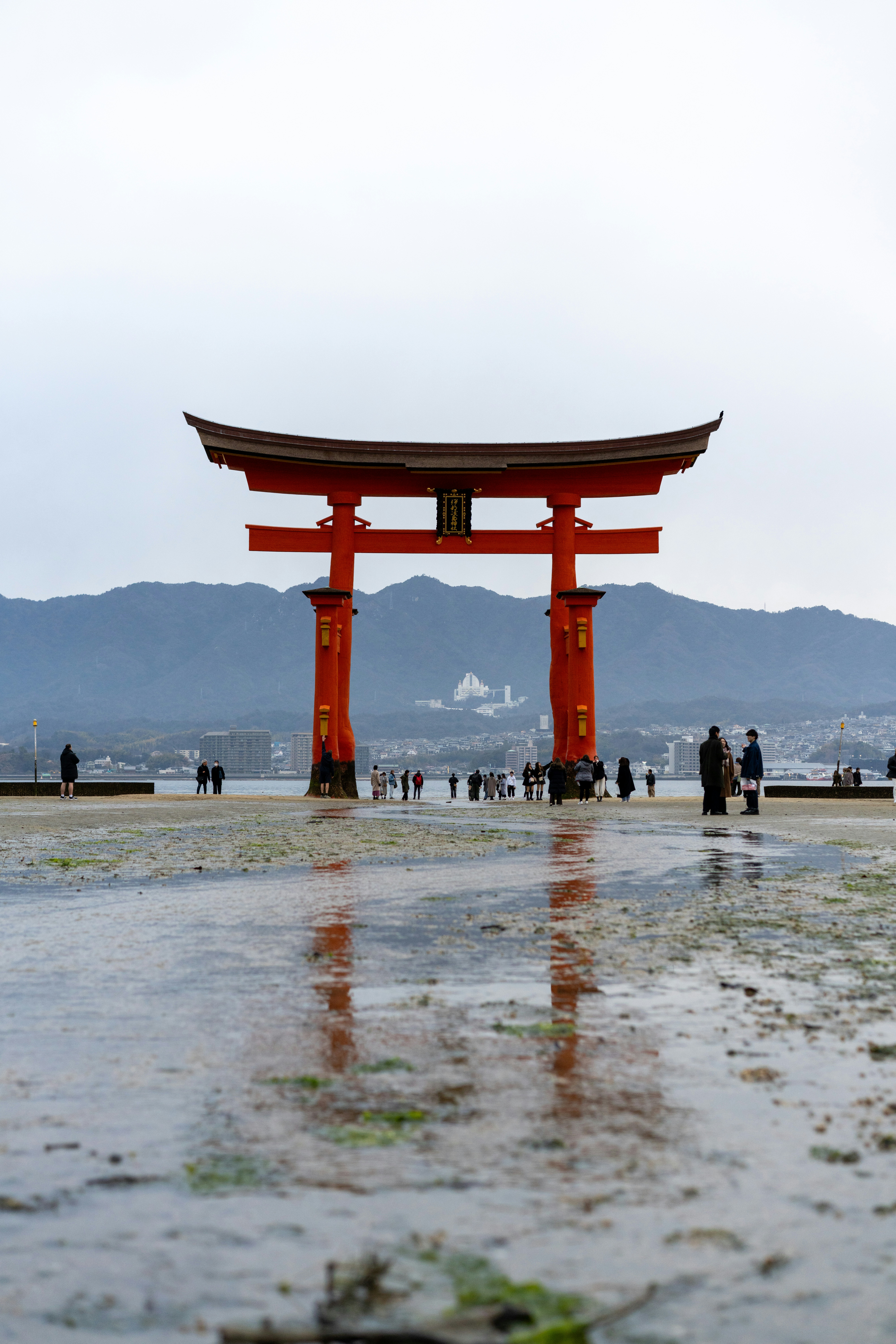 Photo by photos_by_ajay