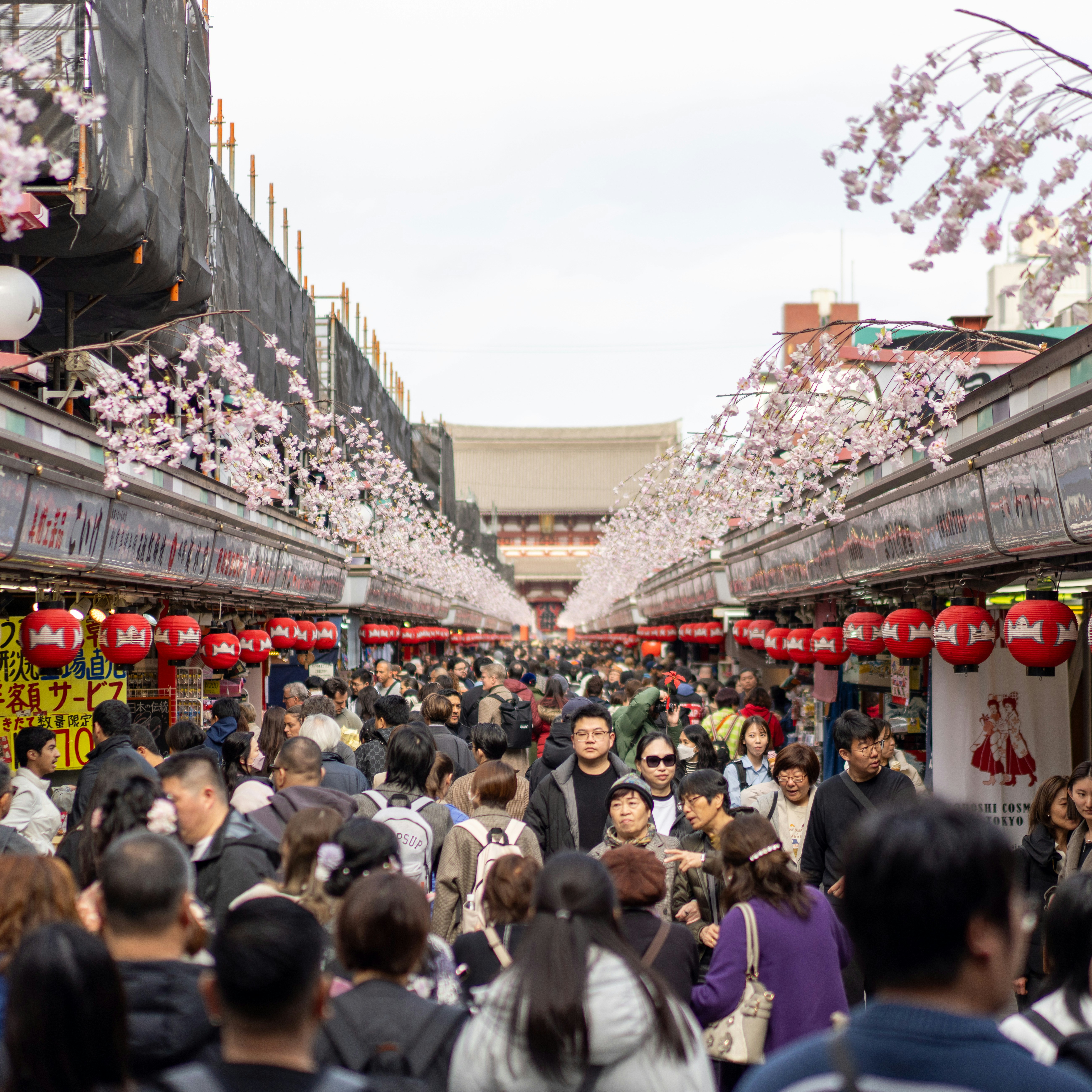 Photo by photos_by_ajay