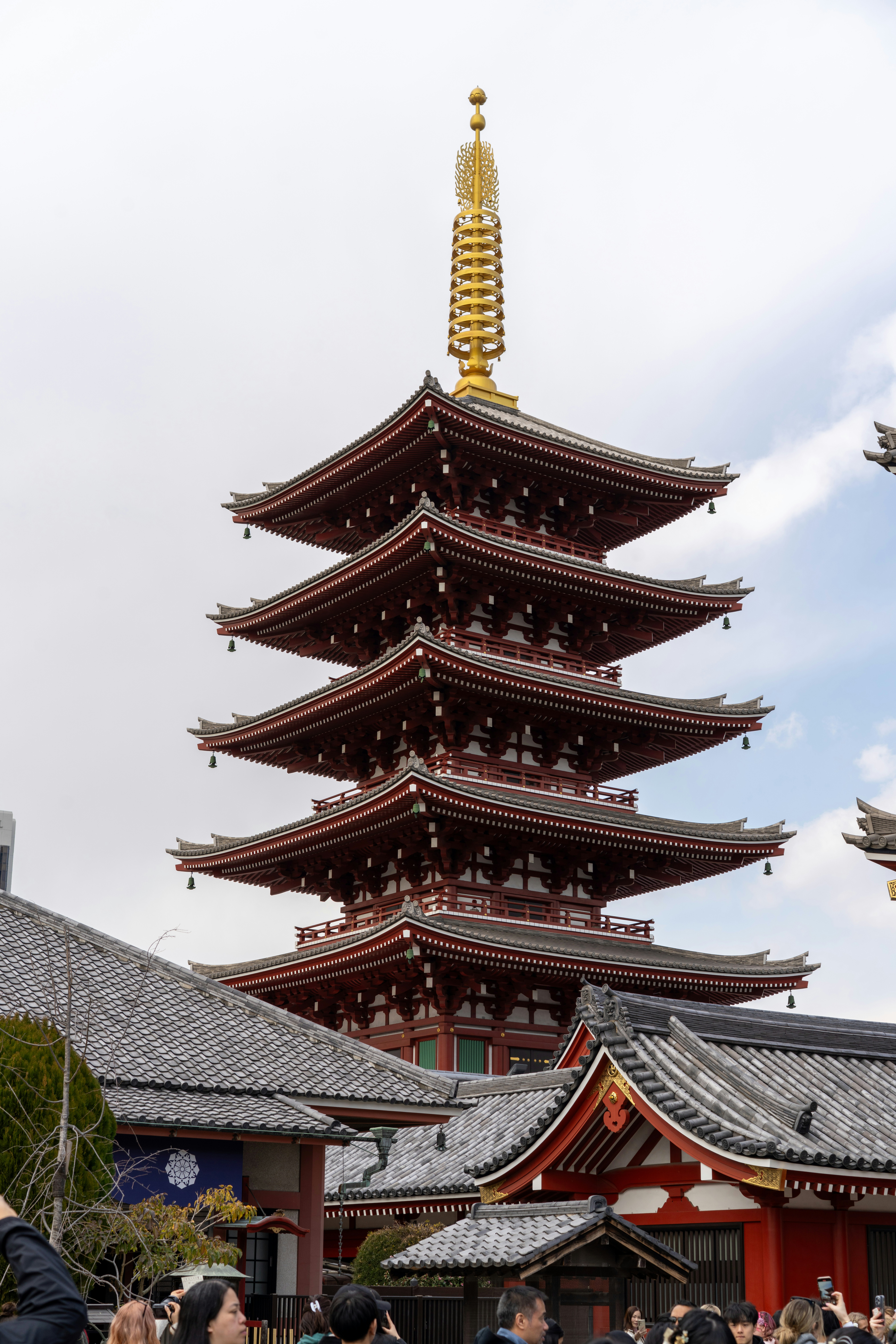 Photo by photos_by_ajay