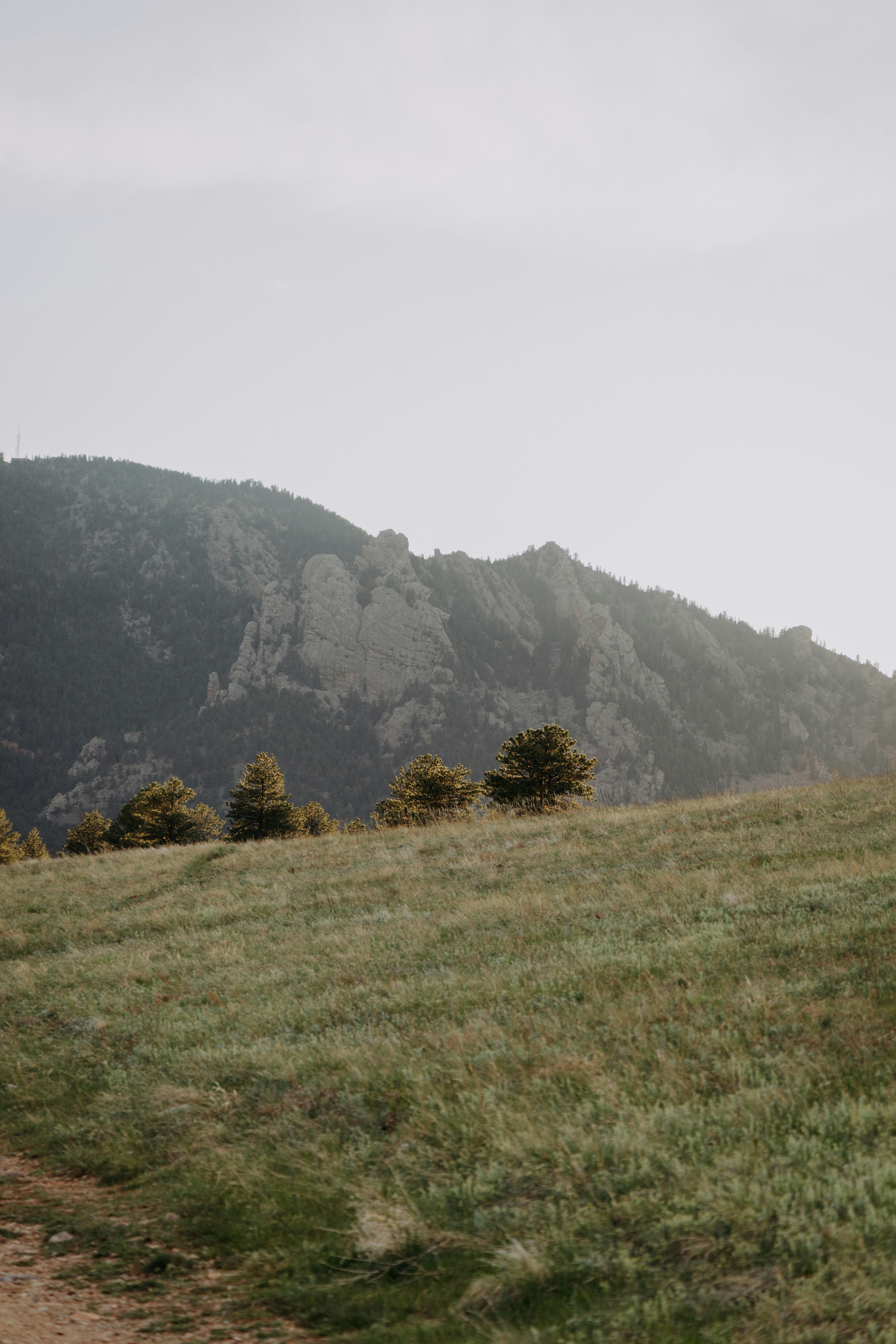 Photo by elijahp