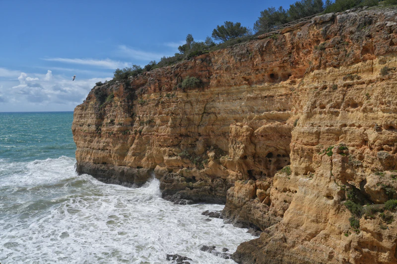 Best Hidden Speakeasies in Algarve You Need a Tip to Find