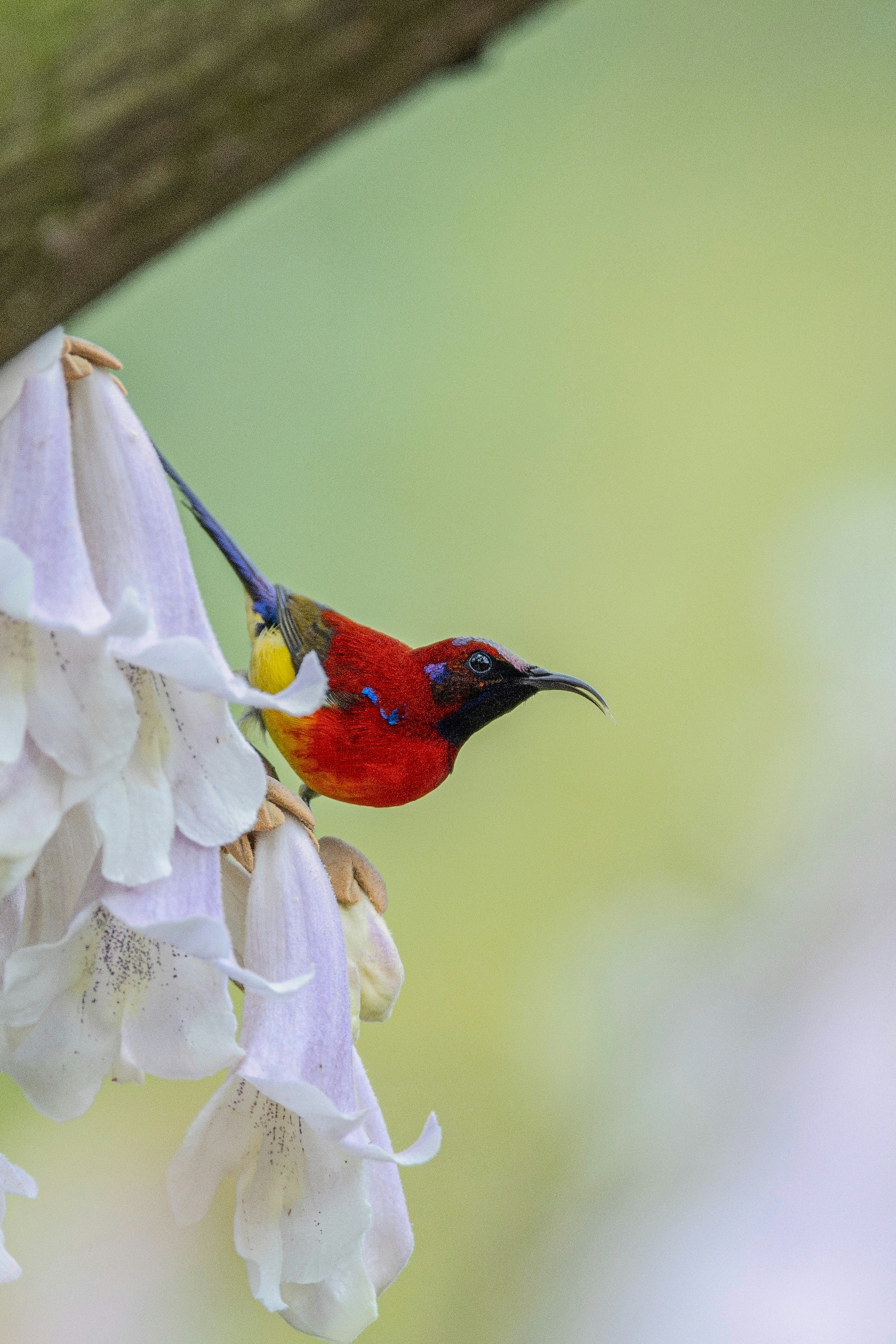 Photo by briadorothy