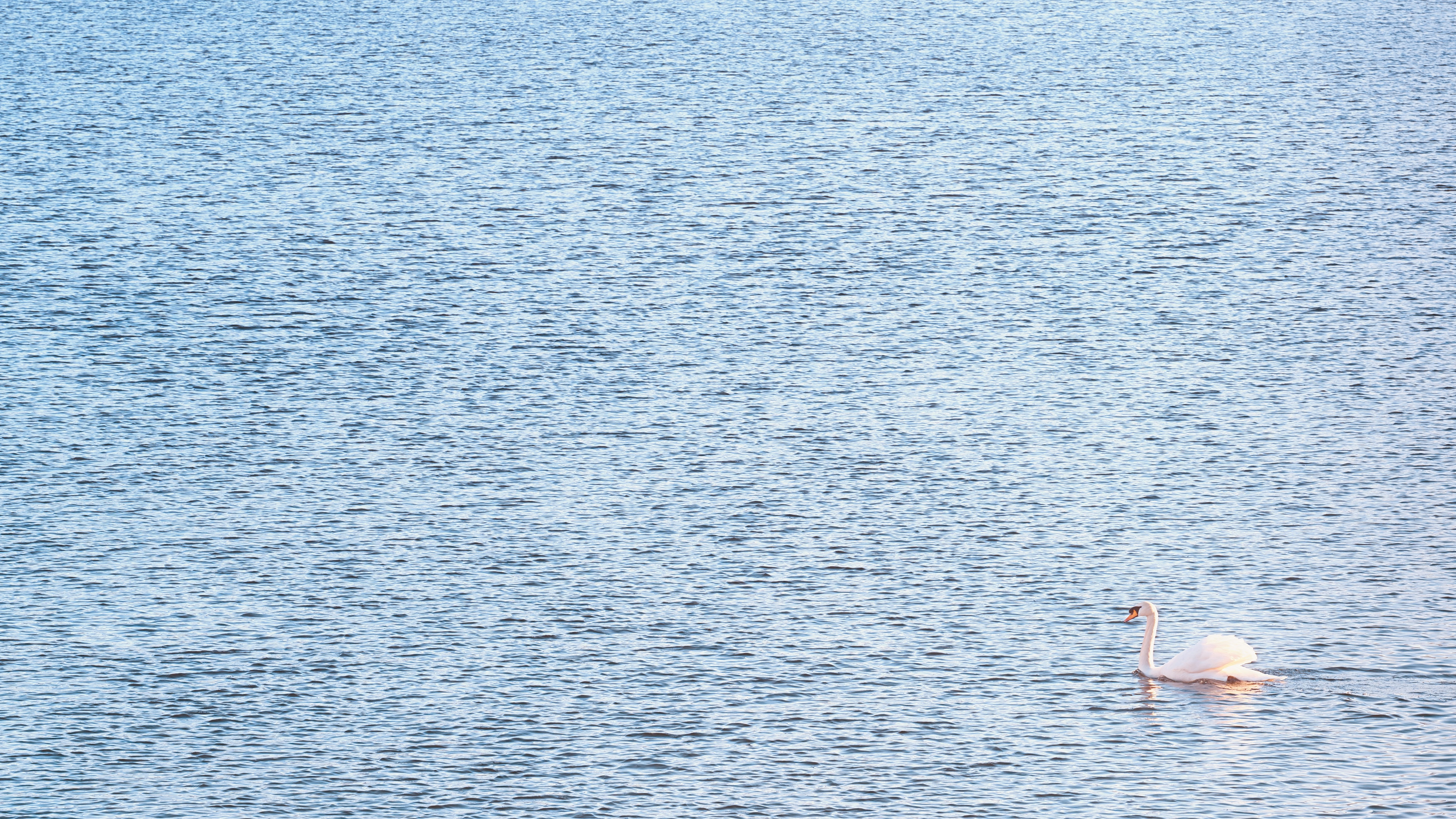 Photo by simon_berger