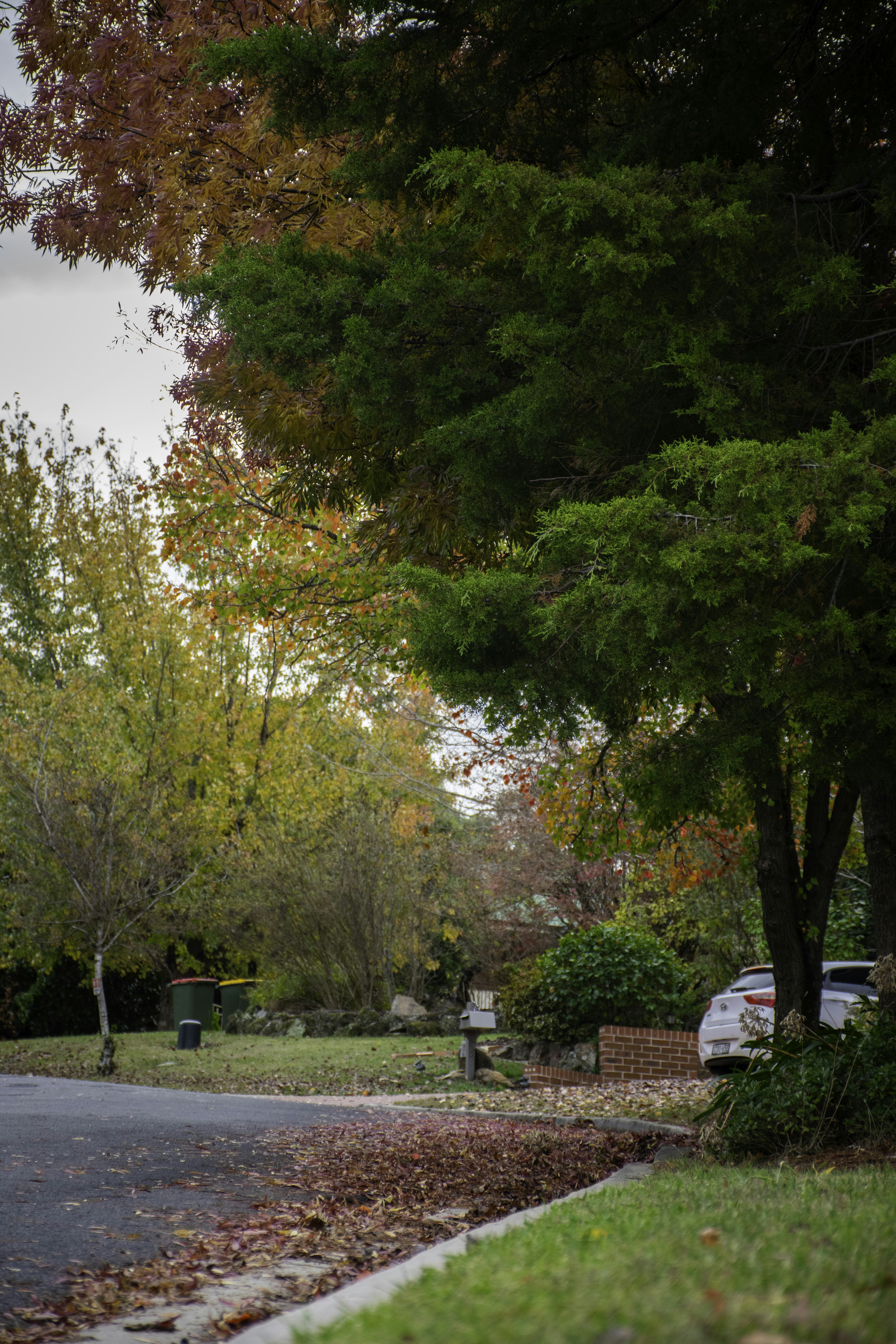 Photo by adam_skrinnikoff