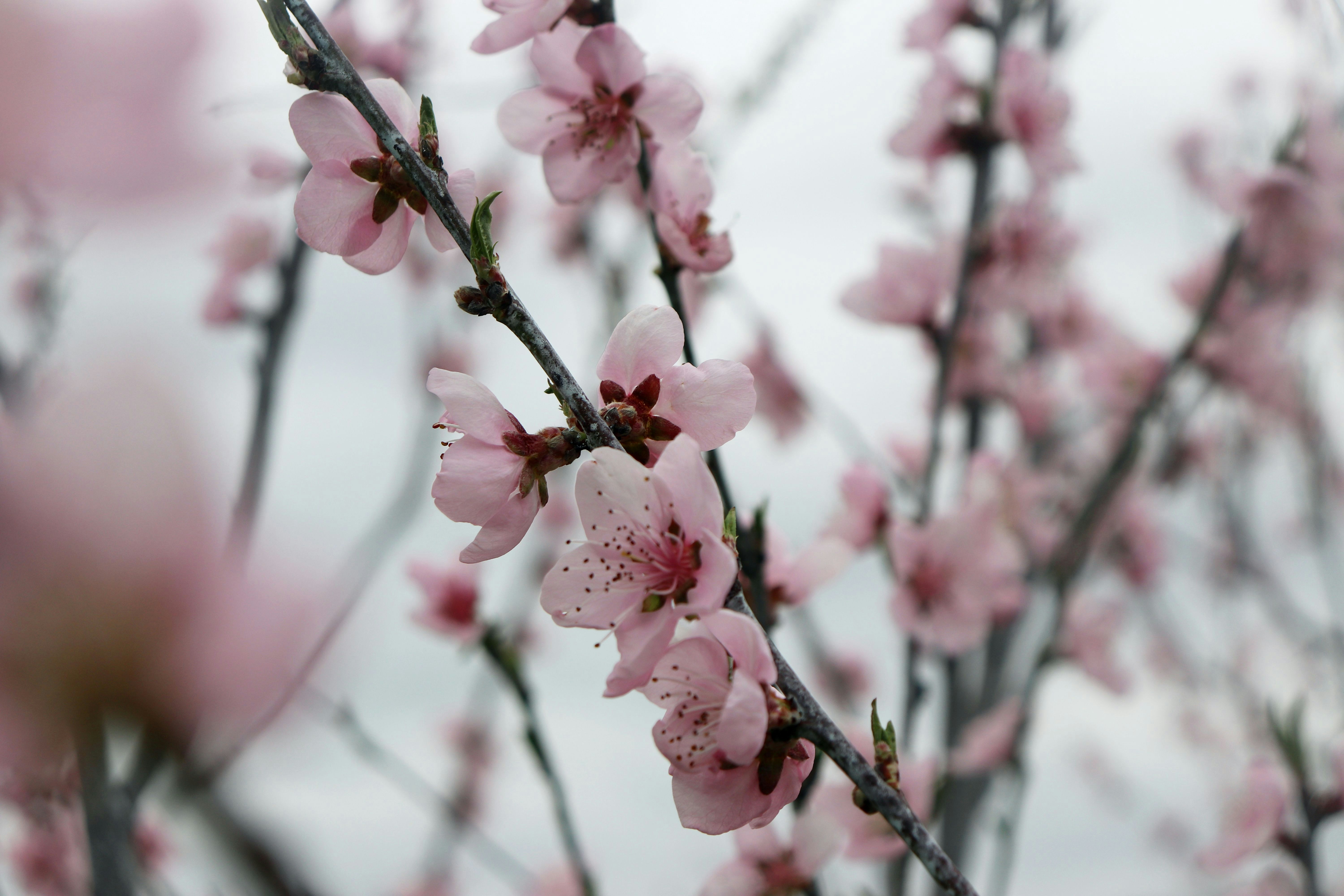 Photo by stasiaspark