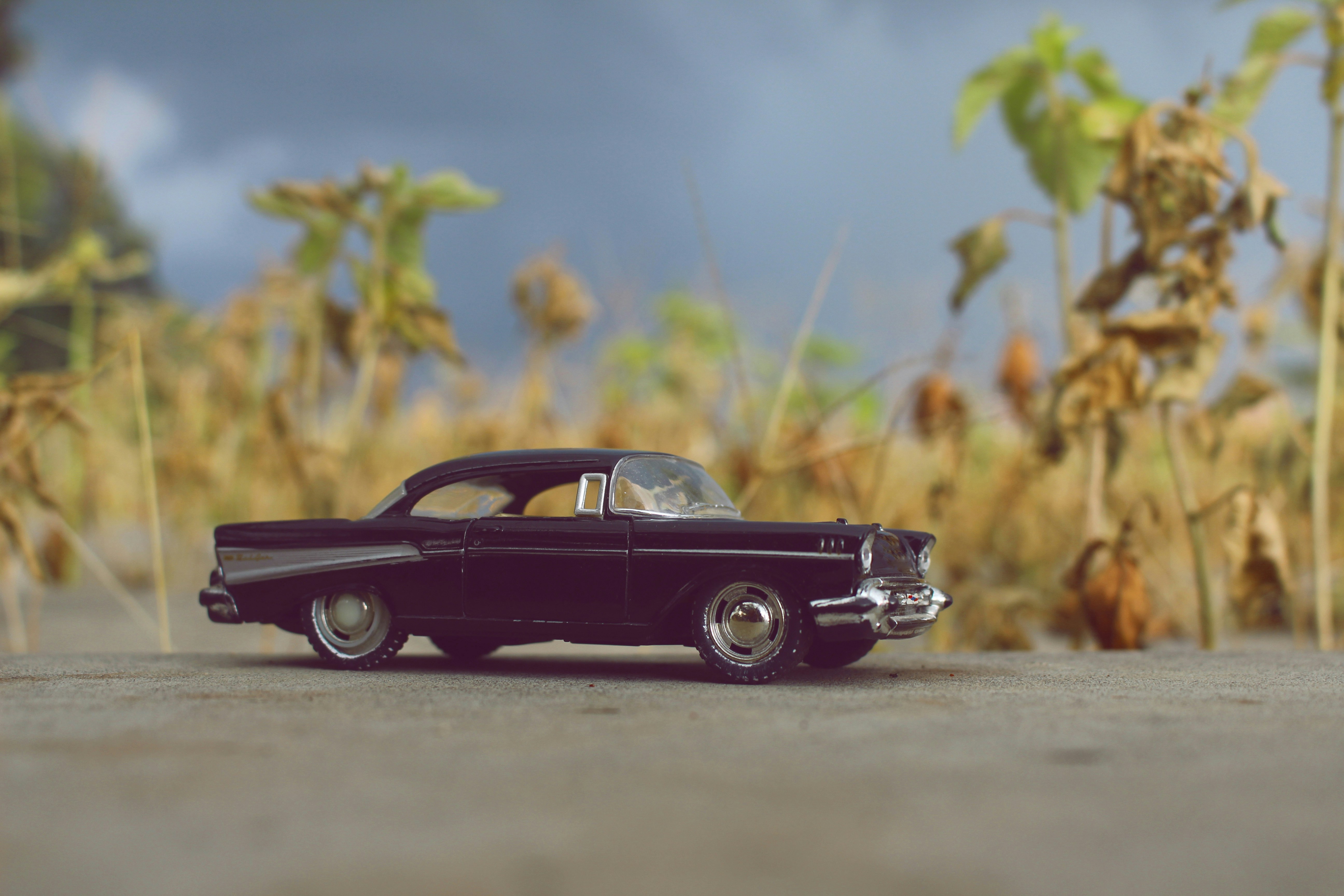 Photo by ervanda_juliarta