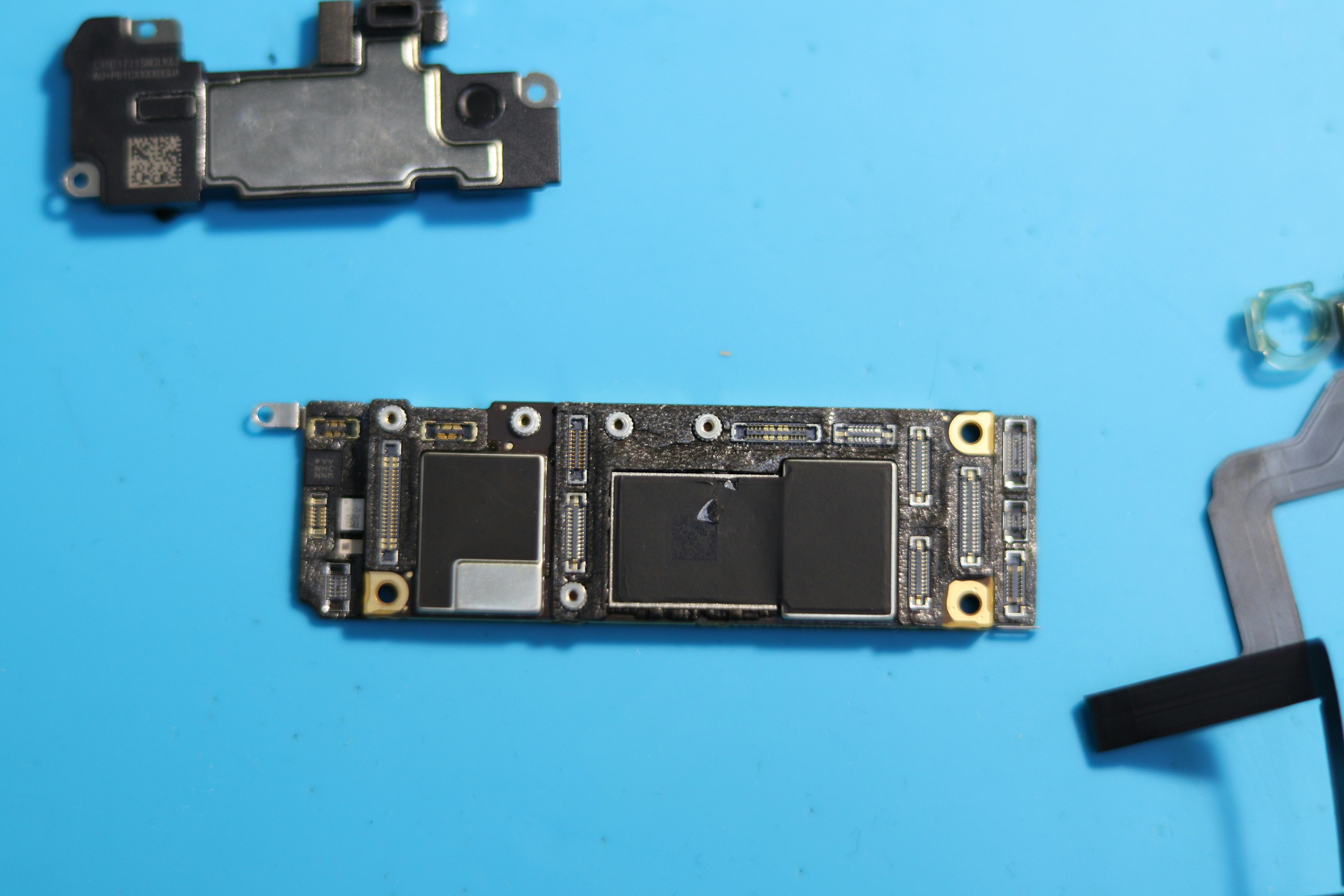 Photo by fotografialuivlad