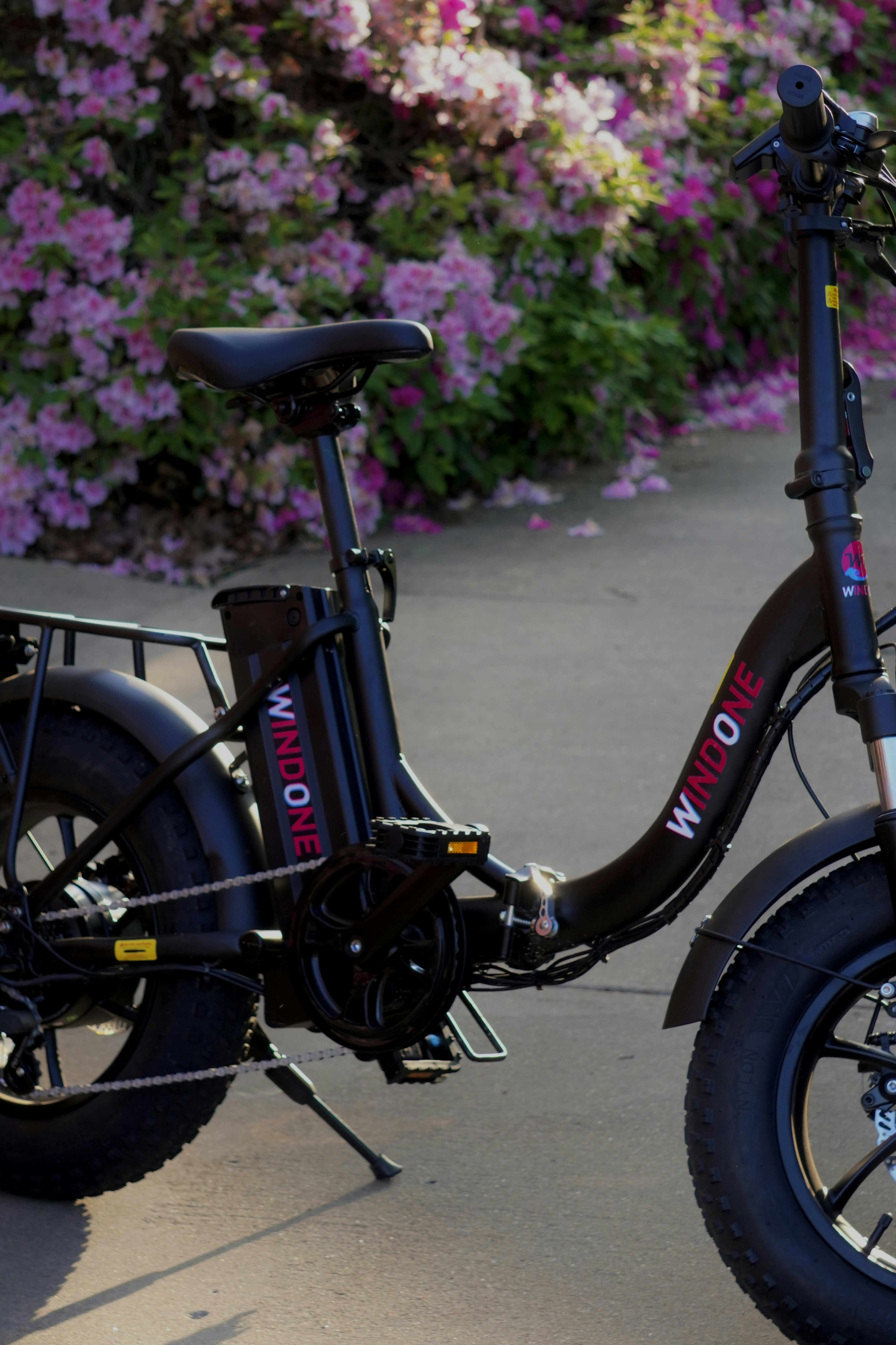 Photo by windoneofficial