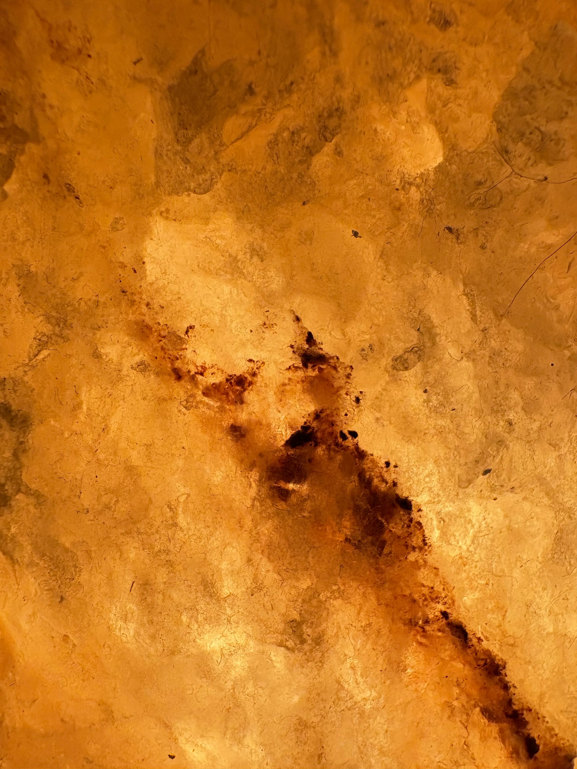 Abstract background showing warm, textured tones.