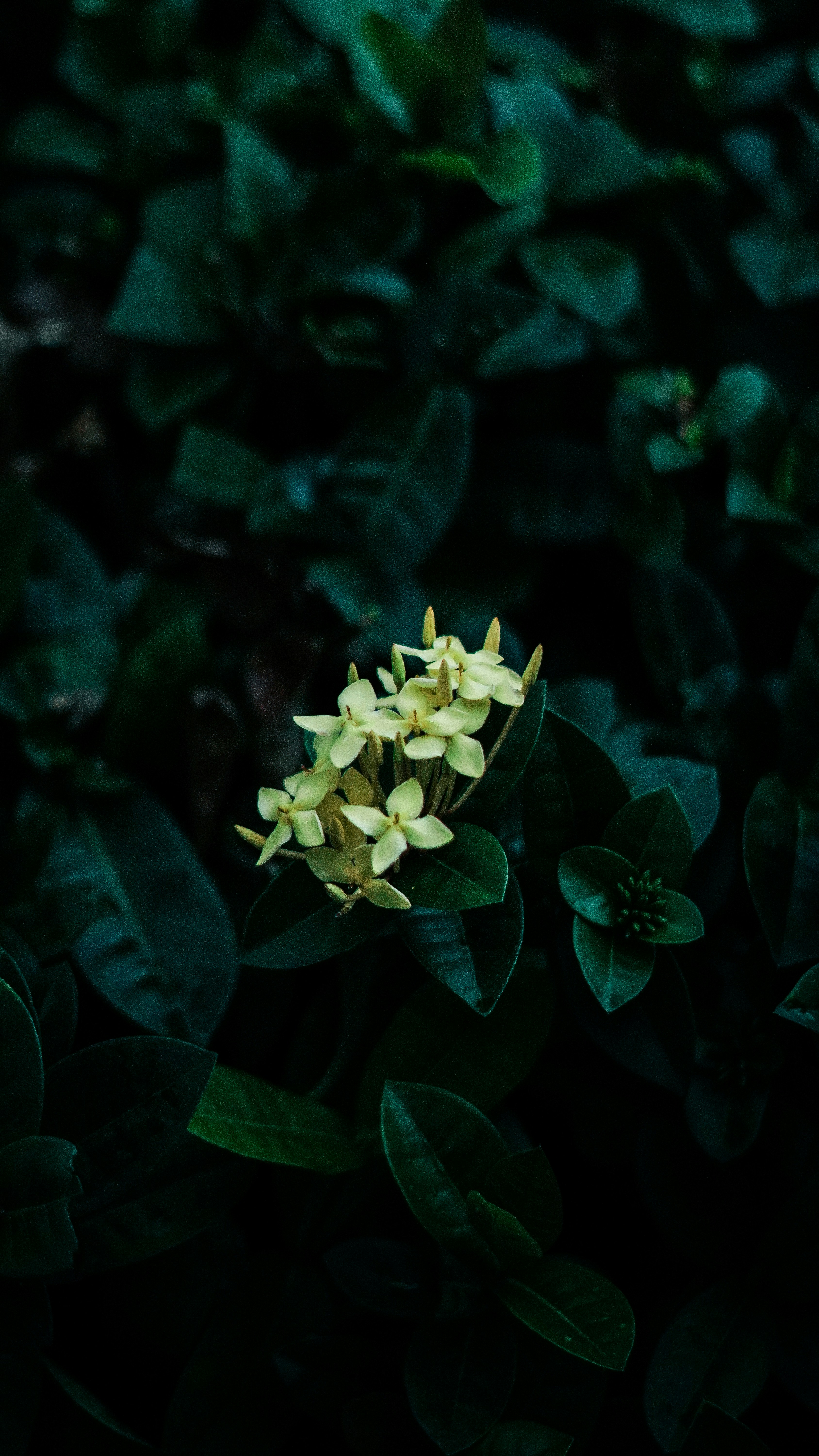 Photo by ahmadfarisandy