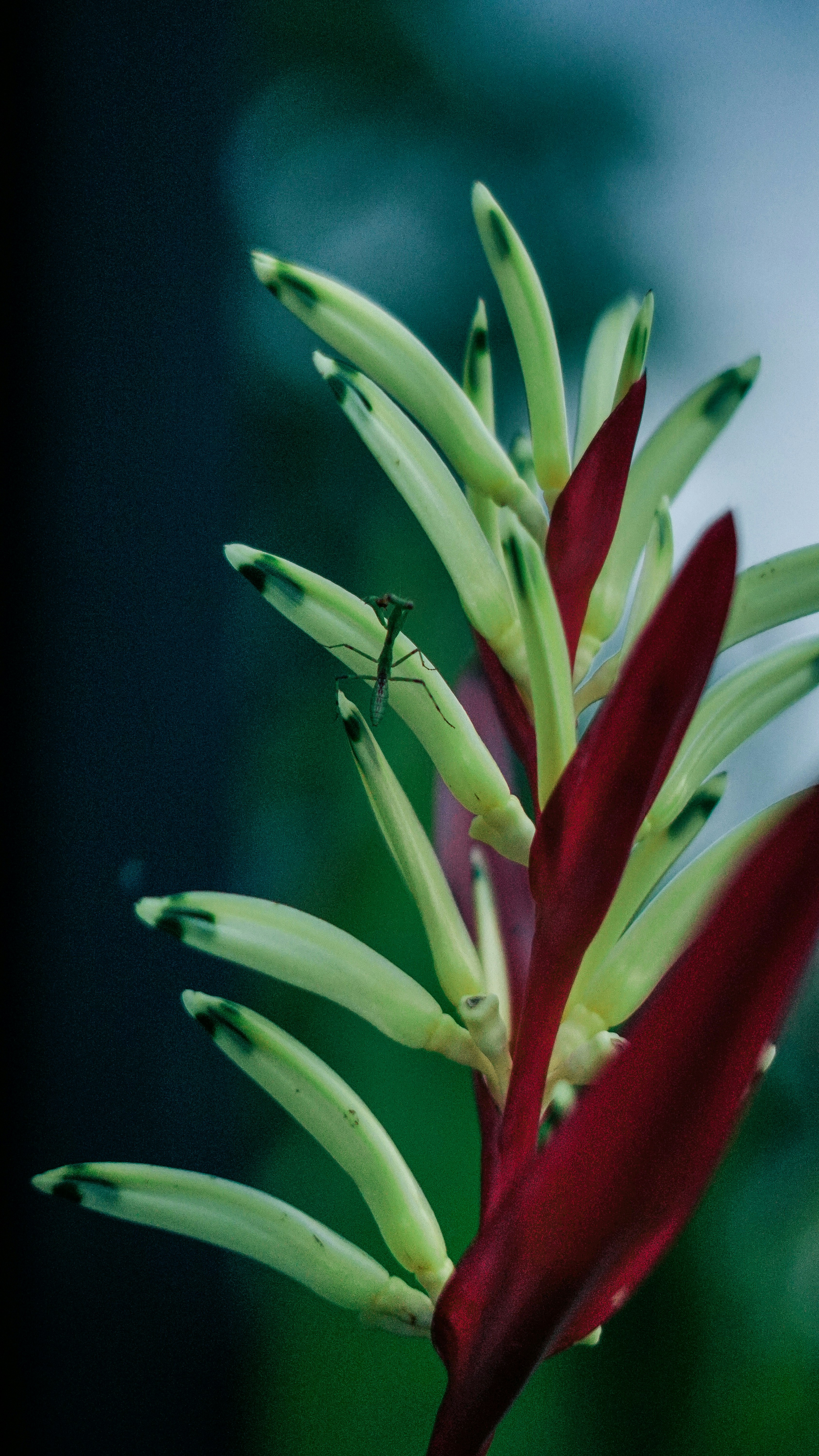 Photo by ahmadfarisandy