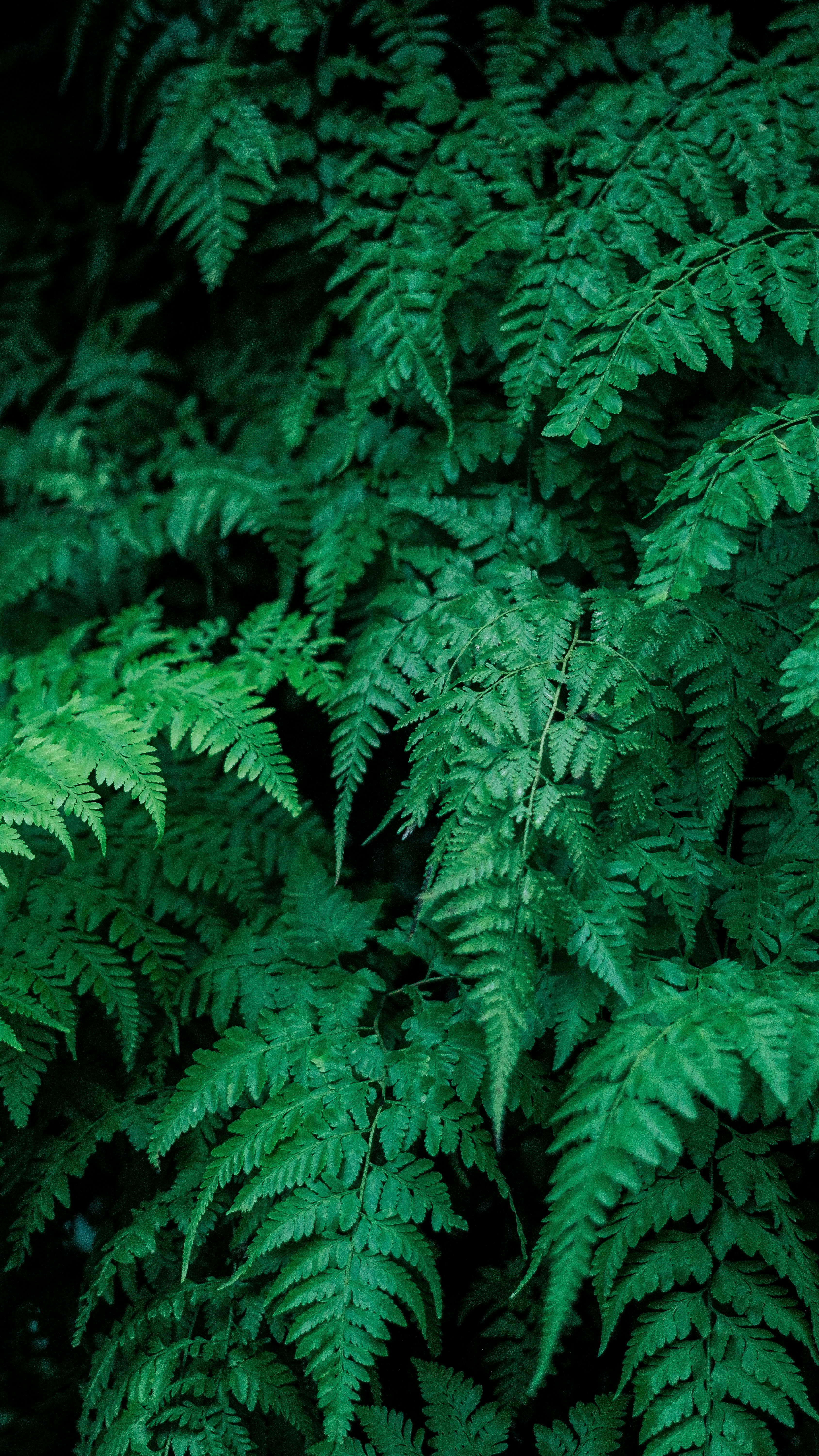 Photo by ahmadfarisandy