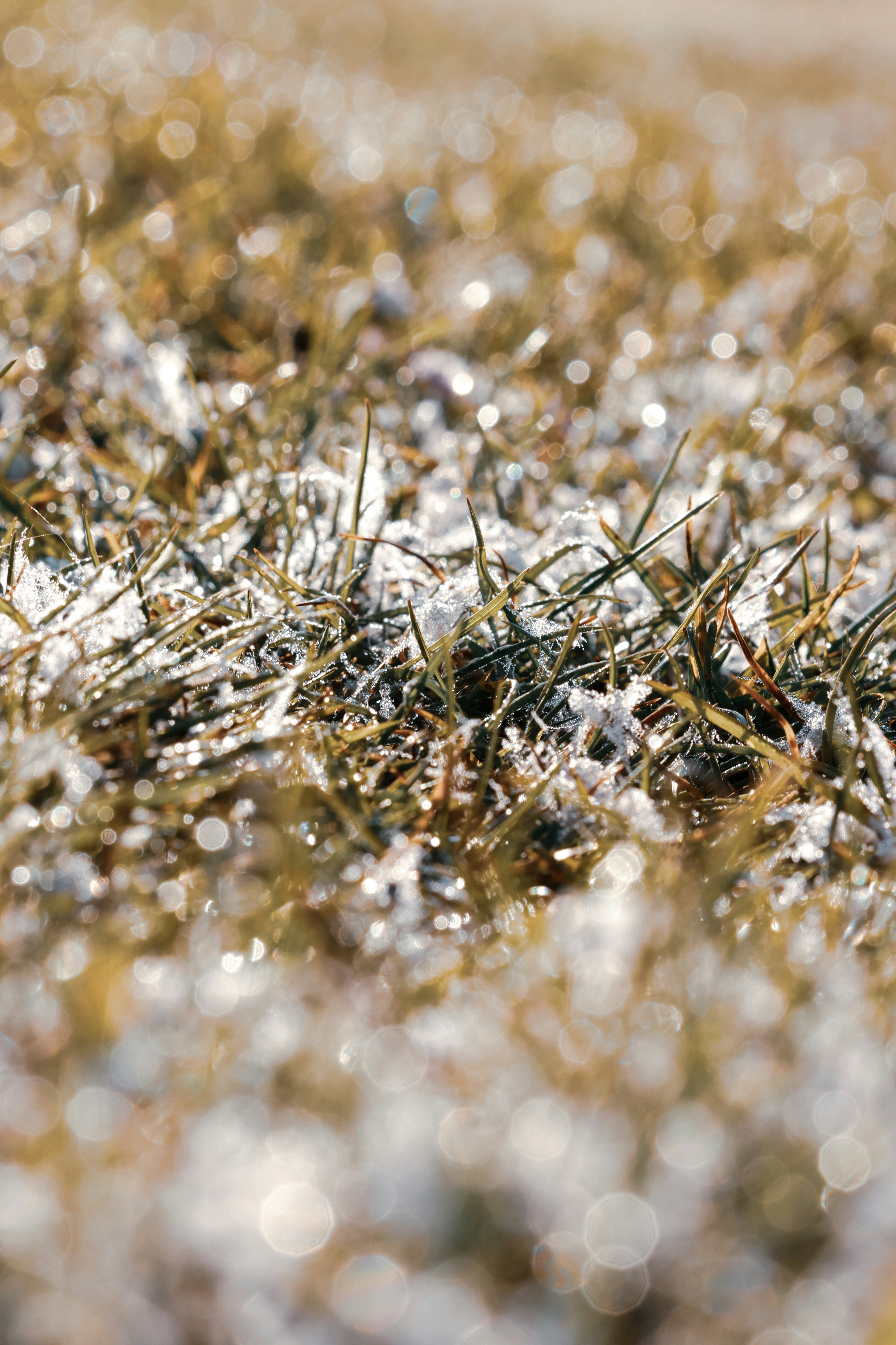 Photo by grievek1610begur