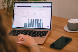 Person reviews charts on a laptop at a table.