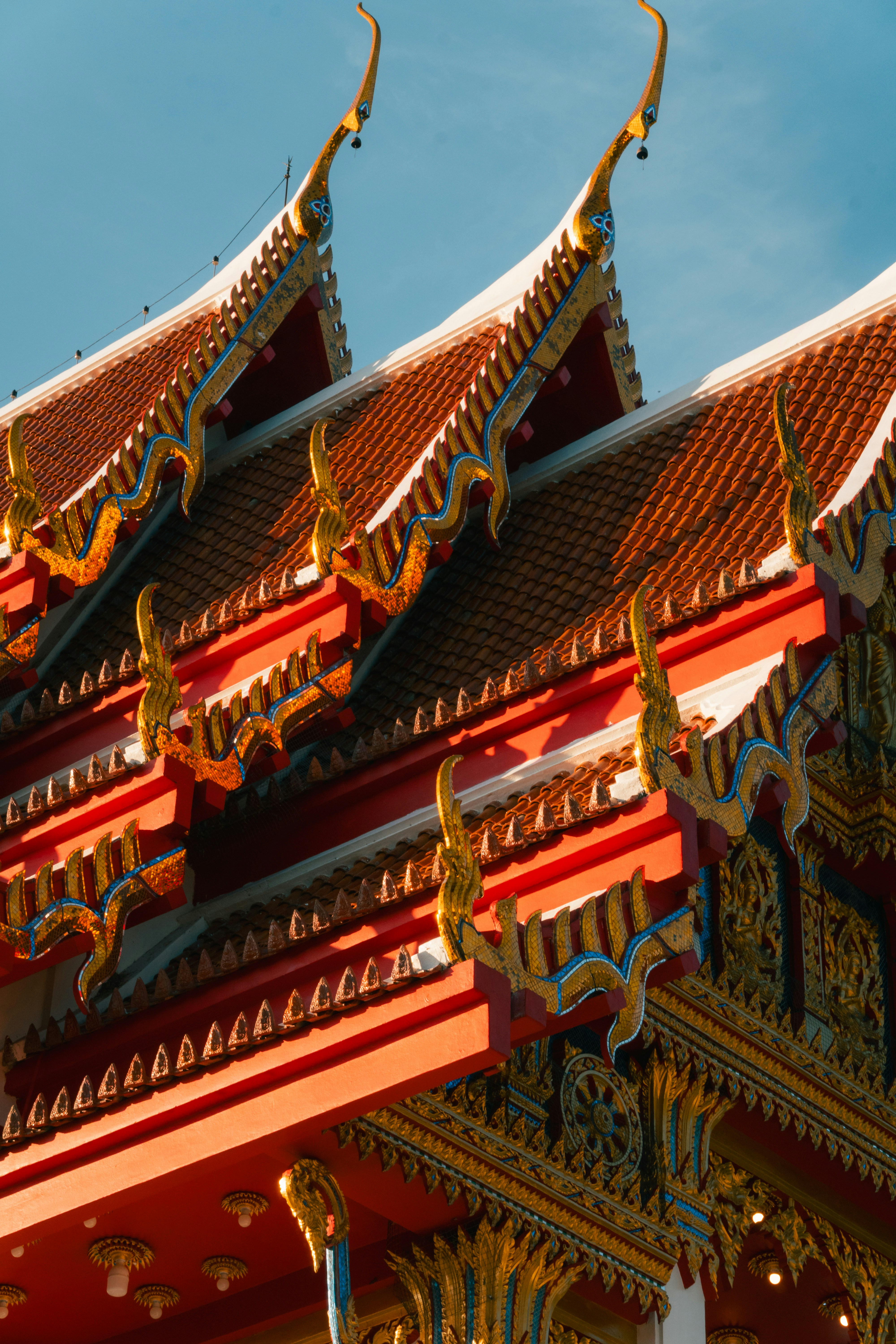 Photo by pauliusidea