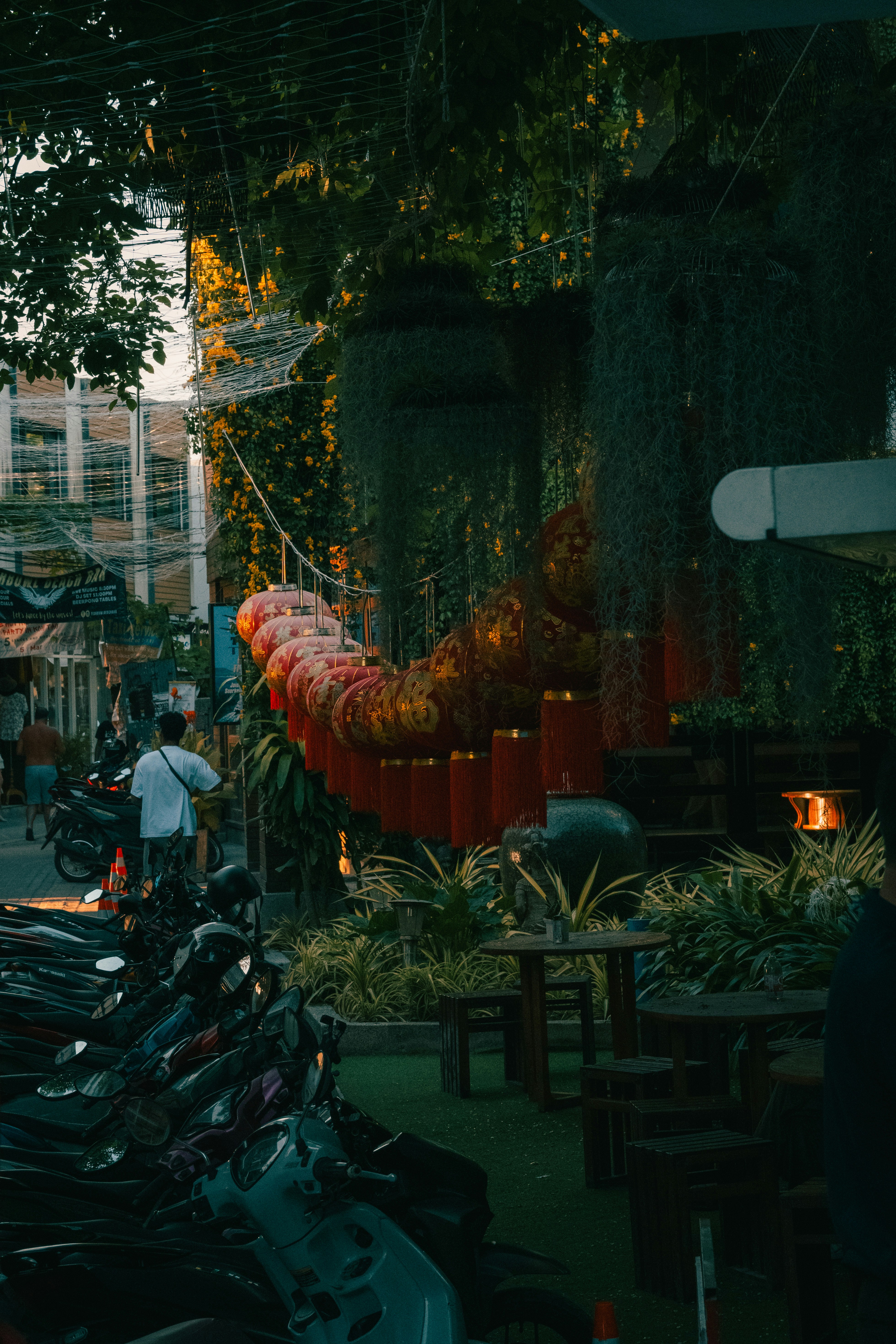 Photo by pauliusidea