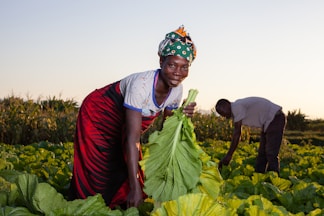 Innovative Solutions for a Food-Secure Future