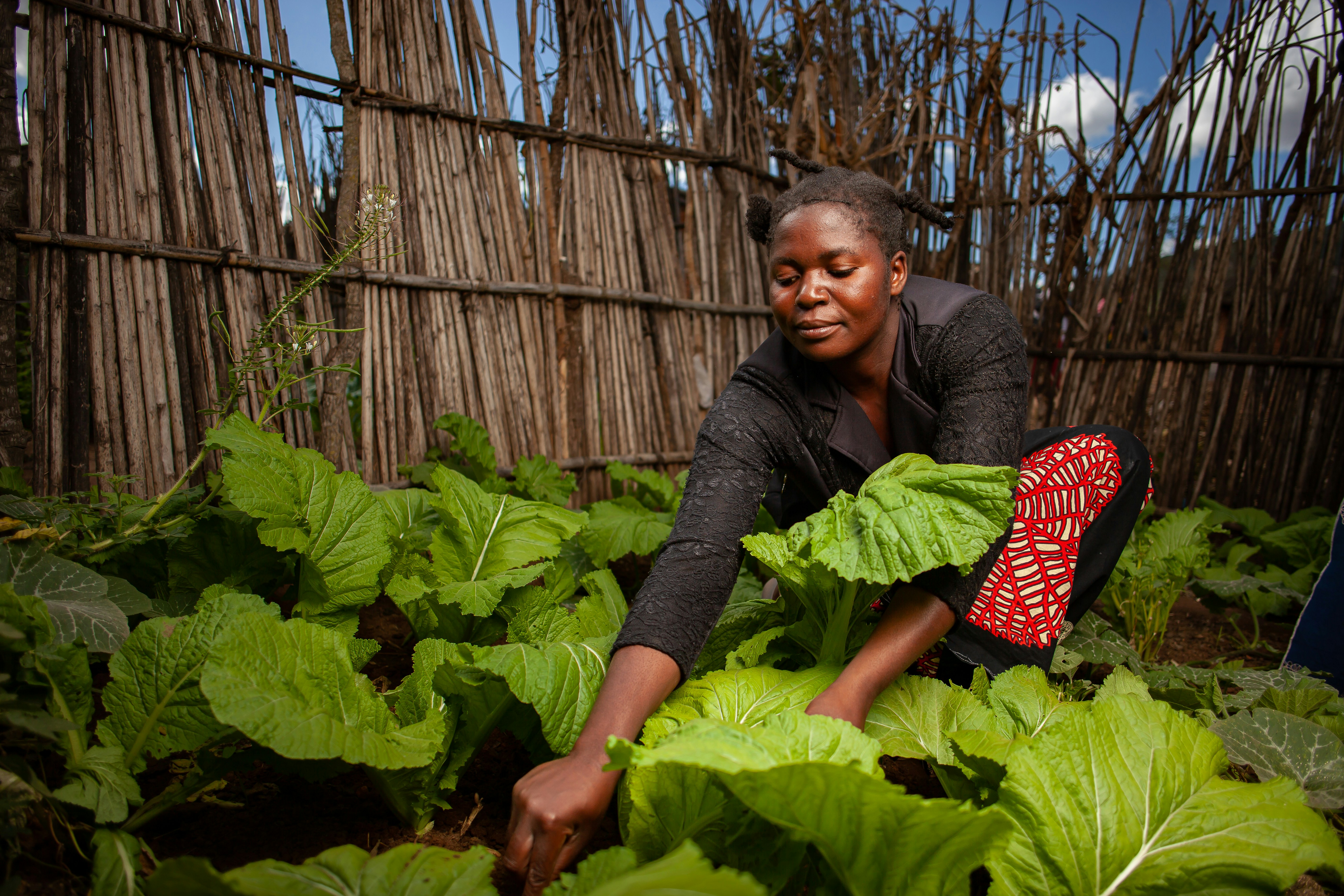 Photo by richard_nyoni