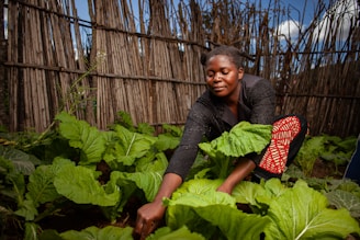 A woman tends to her garden.