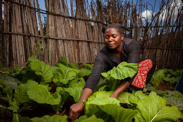 A woman tends to her garden.