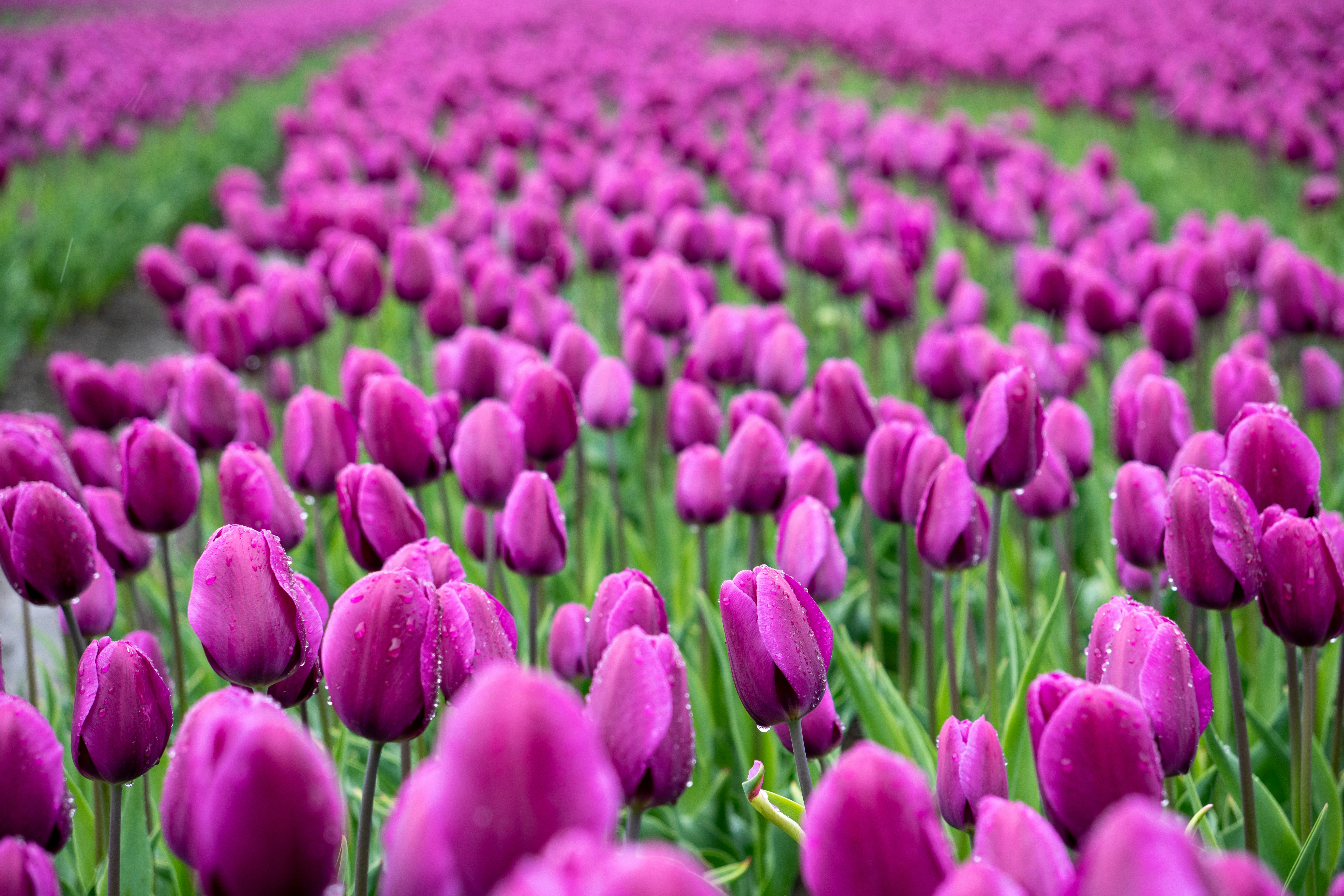 Photo by janwillem2608