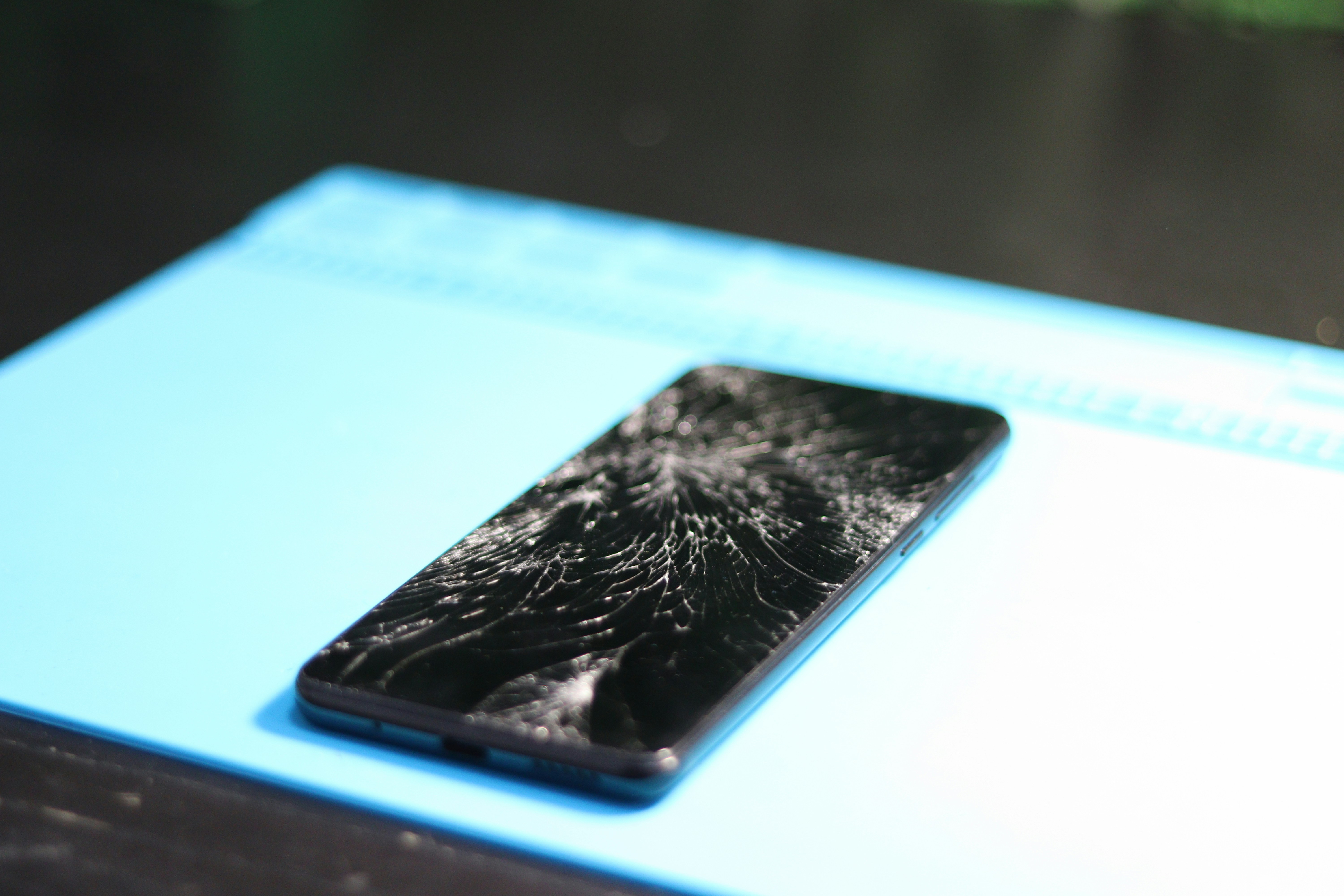 Photo by fotografialuivlad