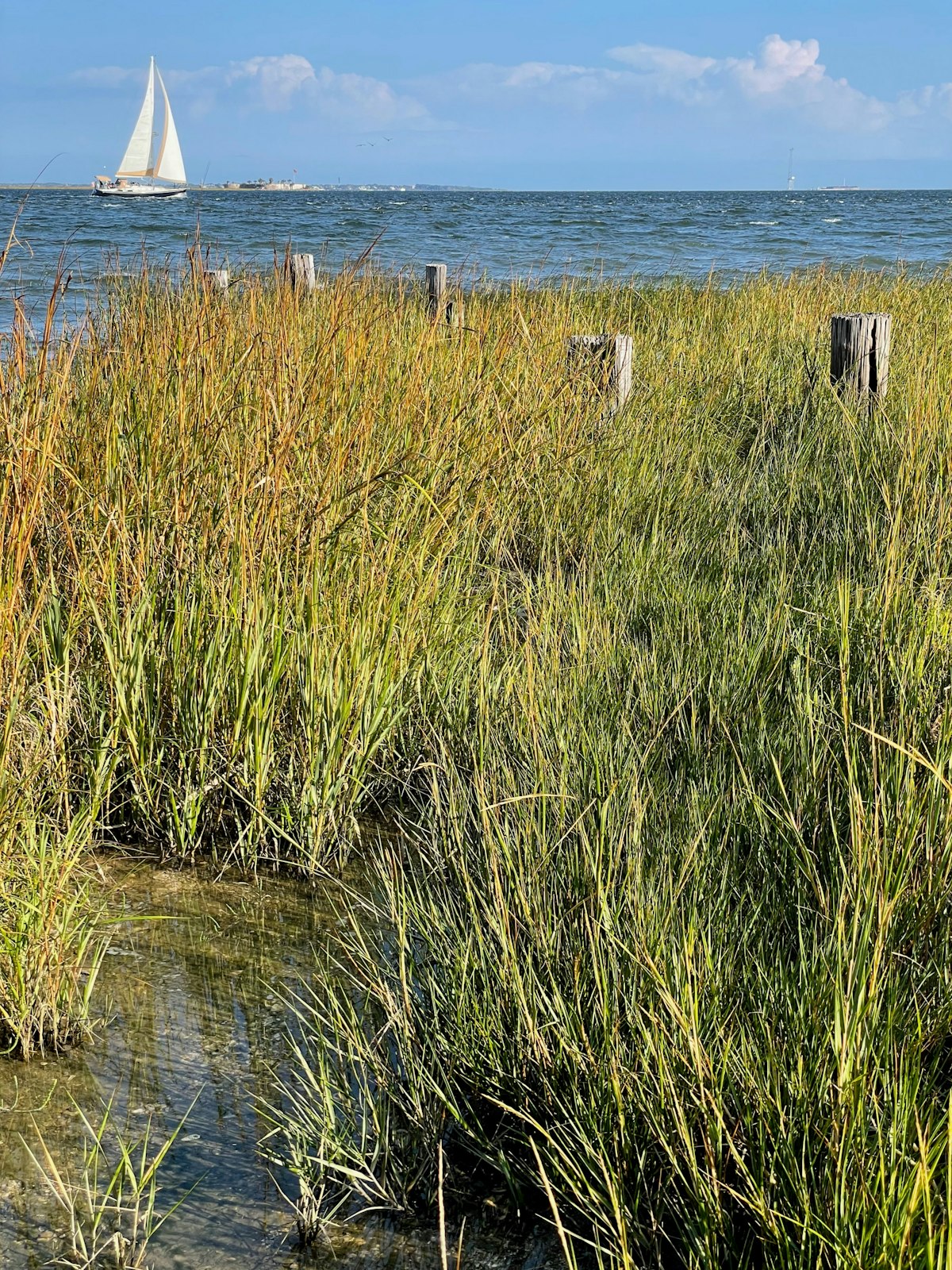 Wide view of a Lowcountry salt marsh at golden hour near Charleston, South Carolina