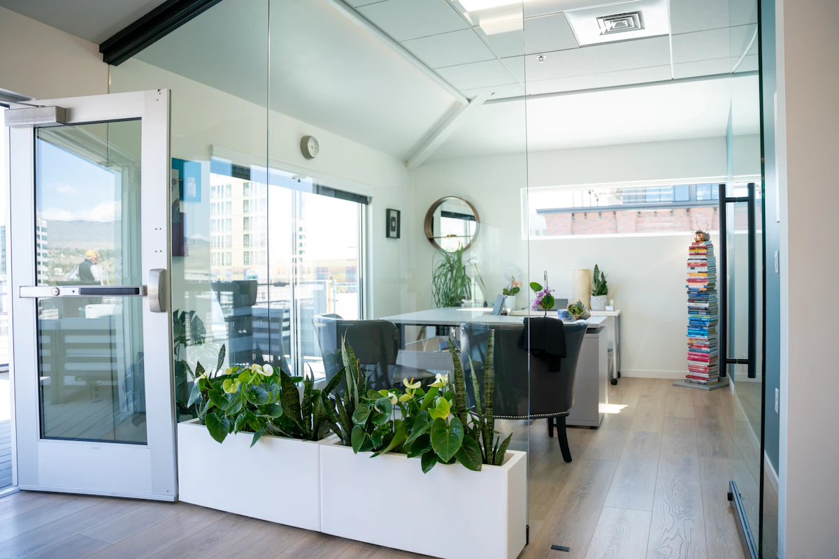 Professional Office