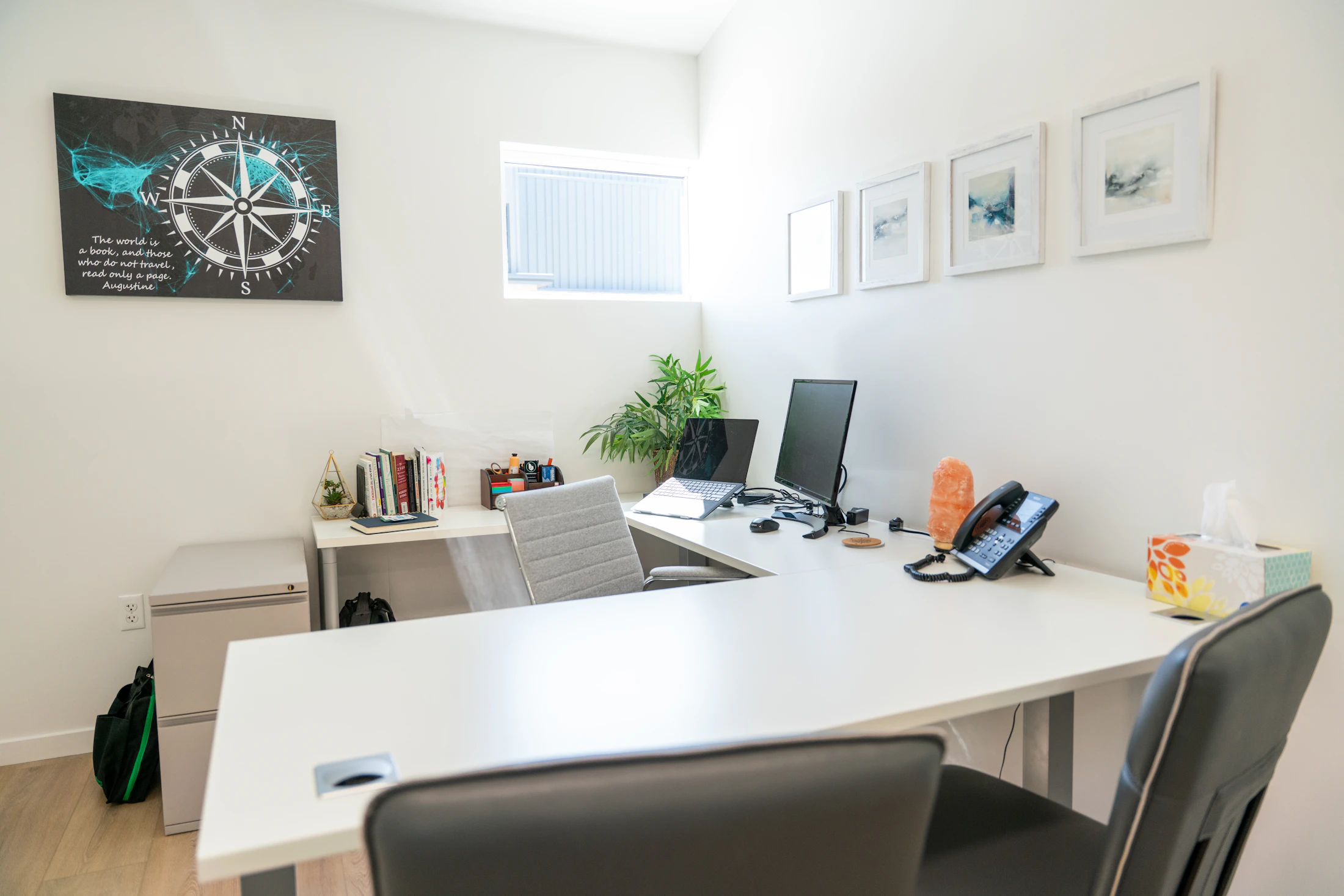 Modern organized office with desk, chair, shelving, computer, and plants