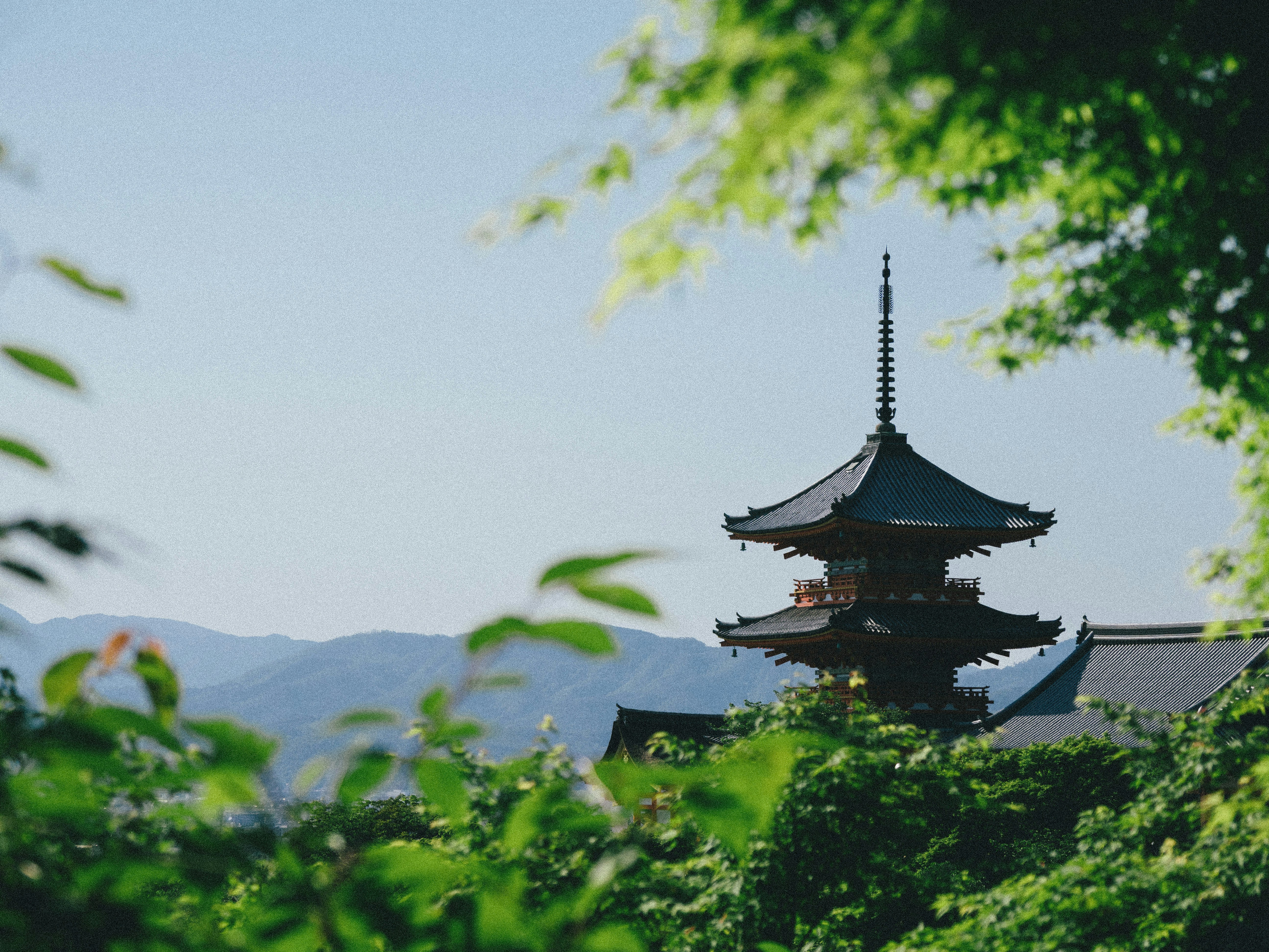 Photo by ultratunafish