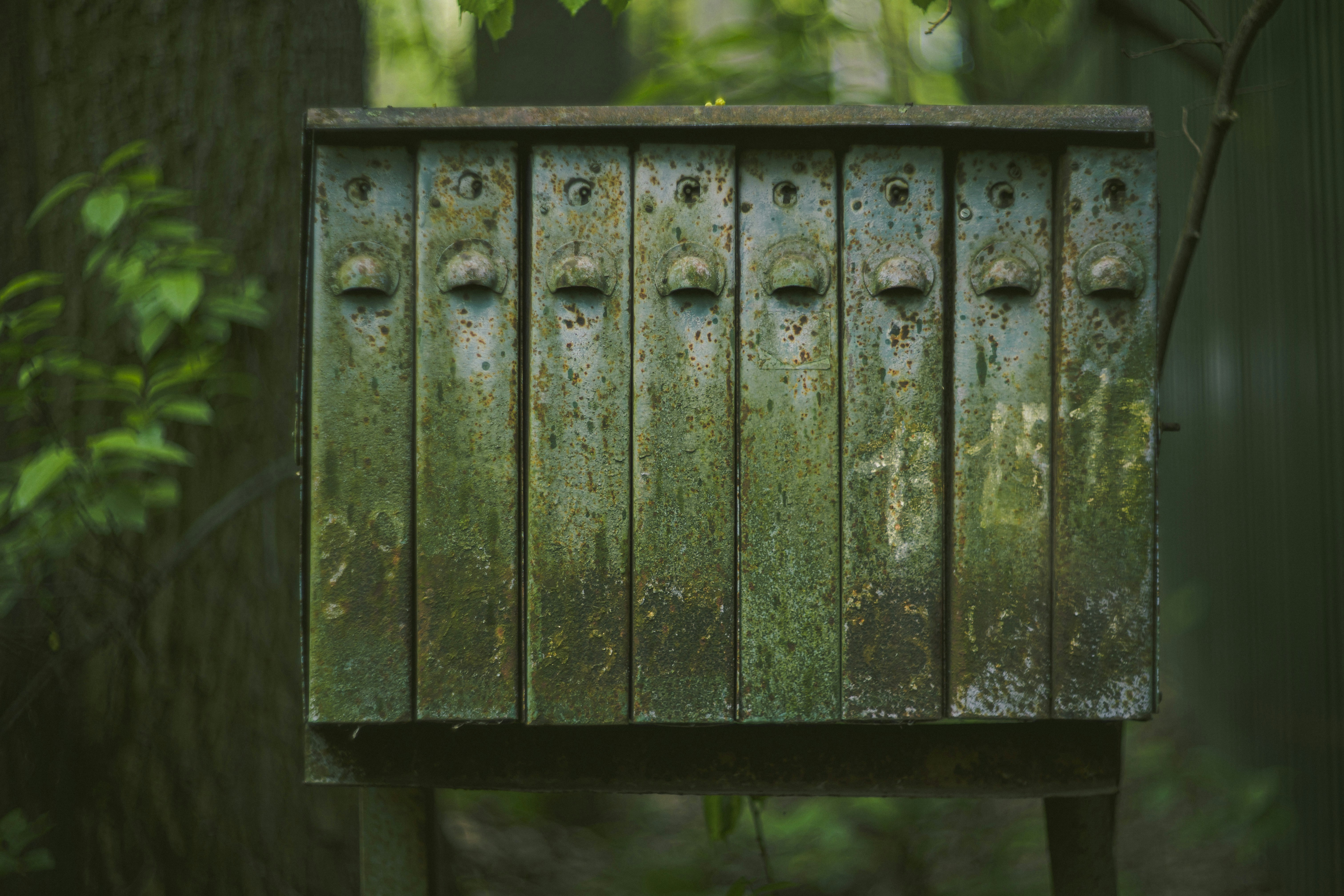 Weathered wooden mailbox stands in a forest.