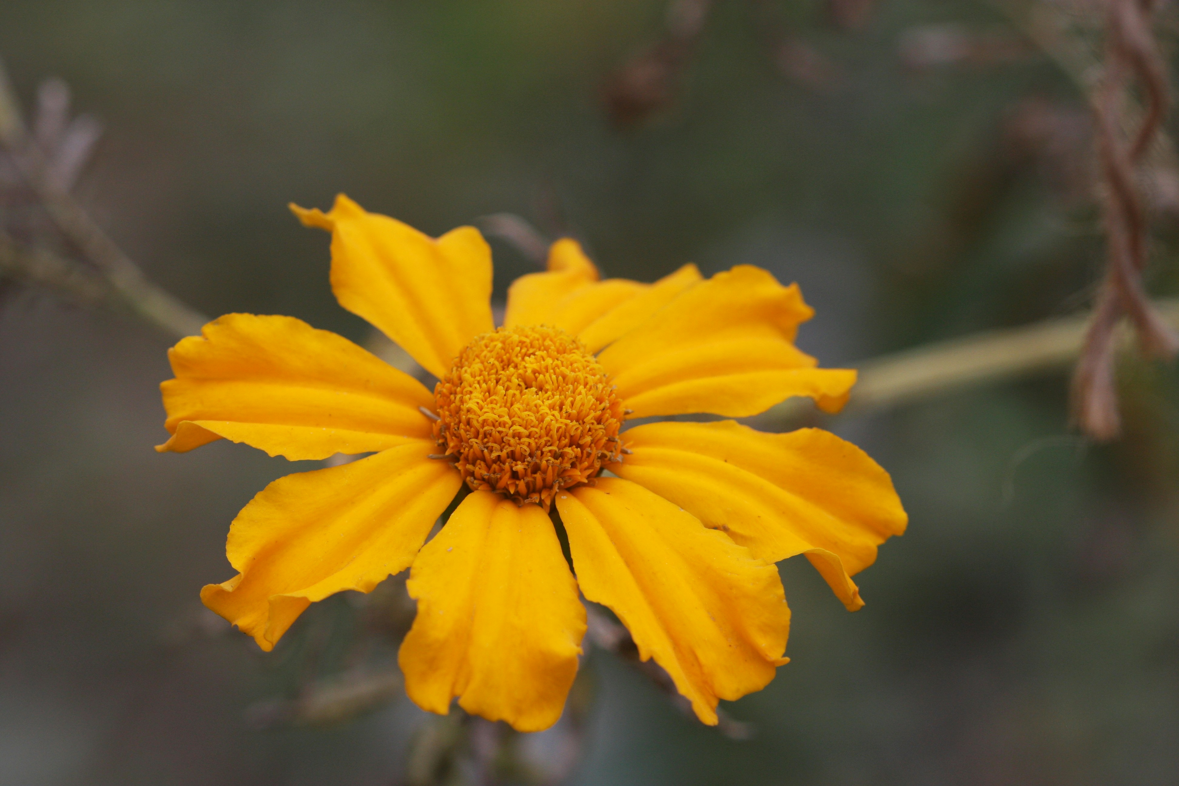 Photo by suyashbatra